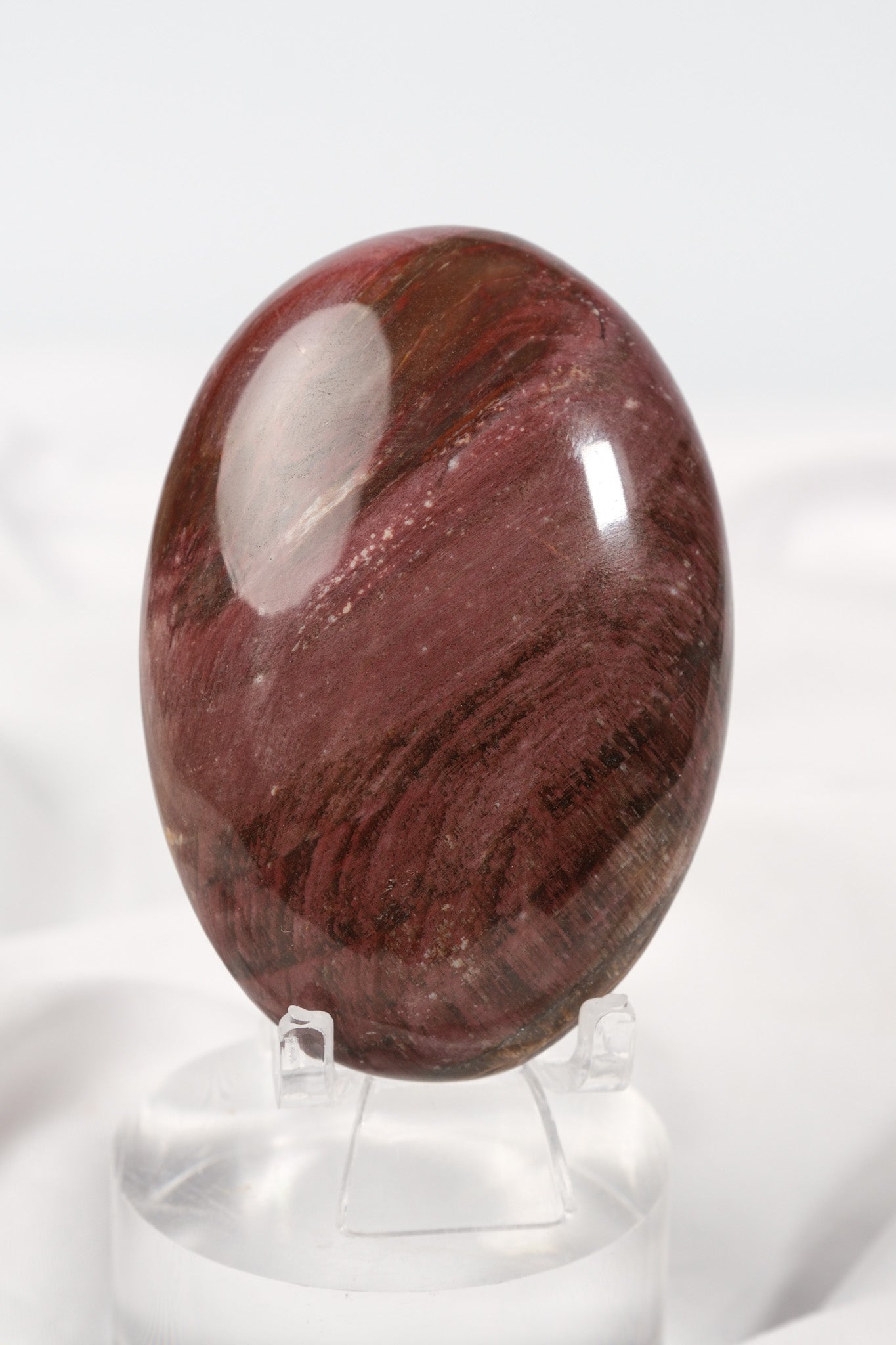 Petrified Wood Palmstone