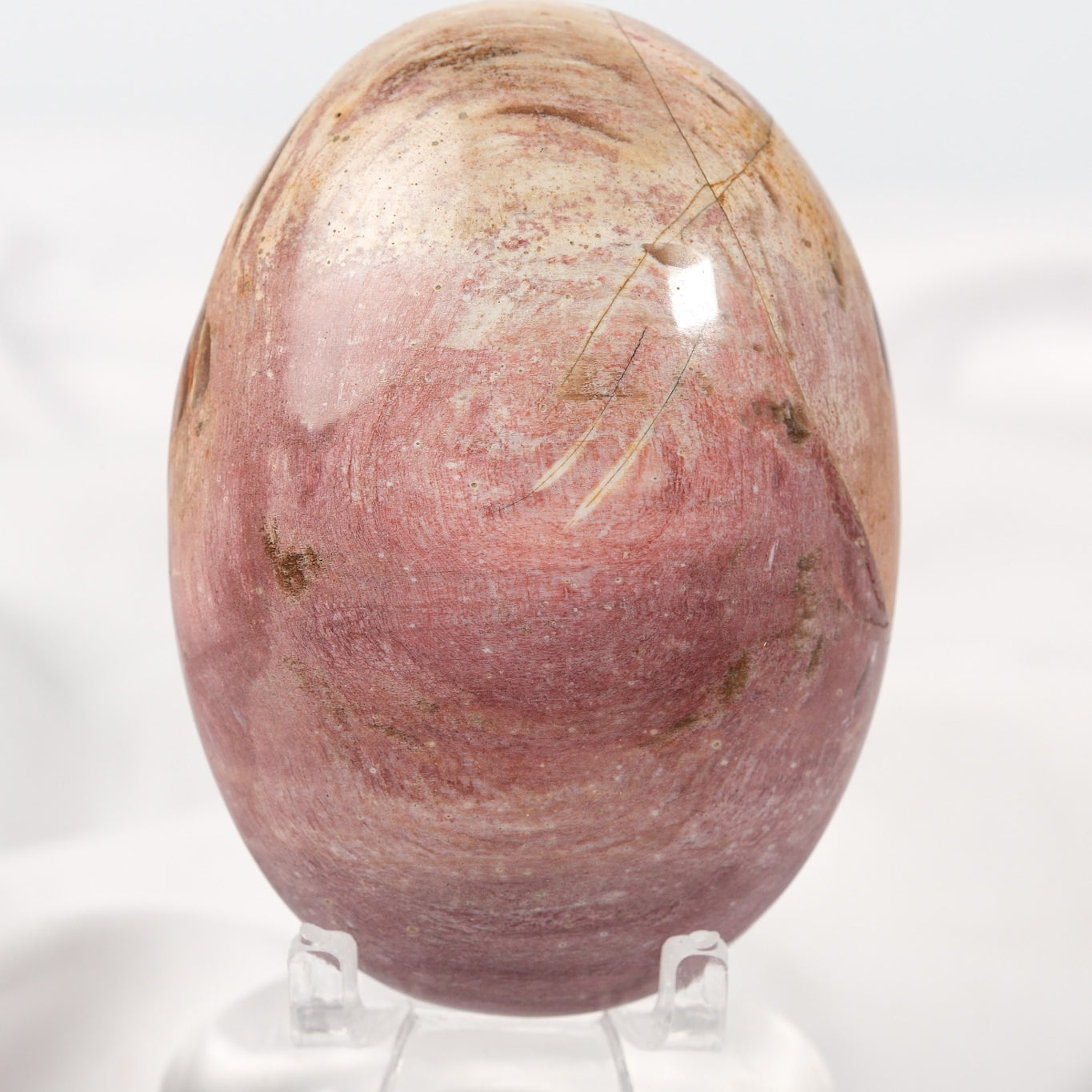 Petrified Wood Palmstone