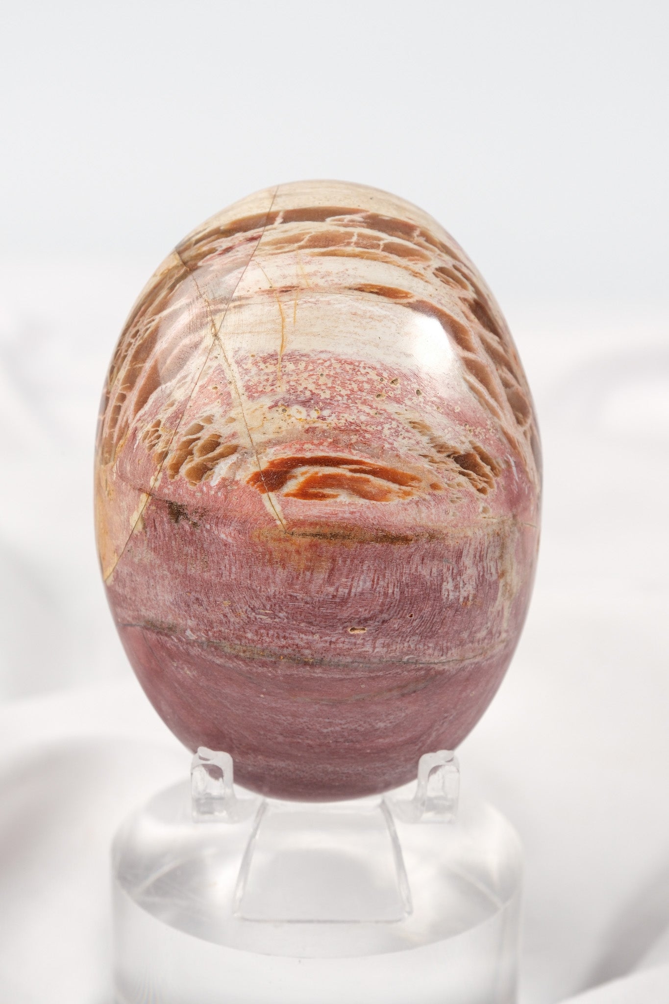 Petrified Wood Palmstone