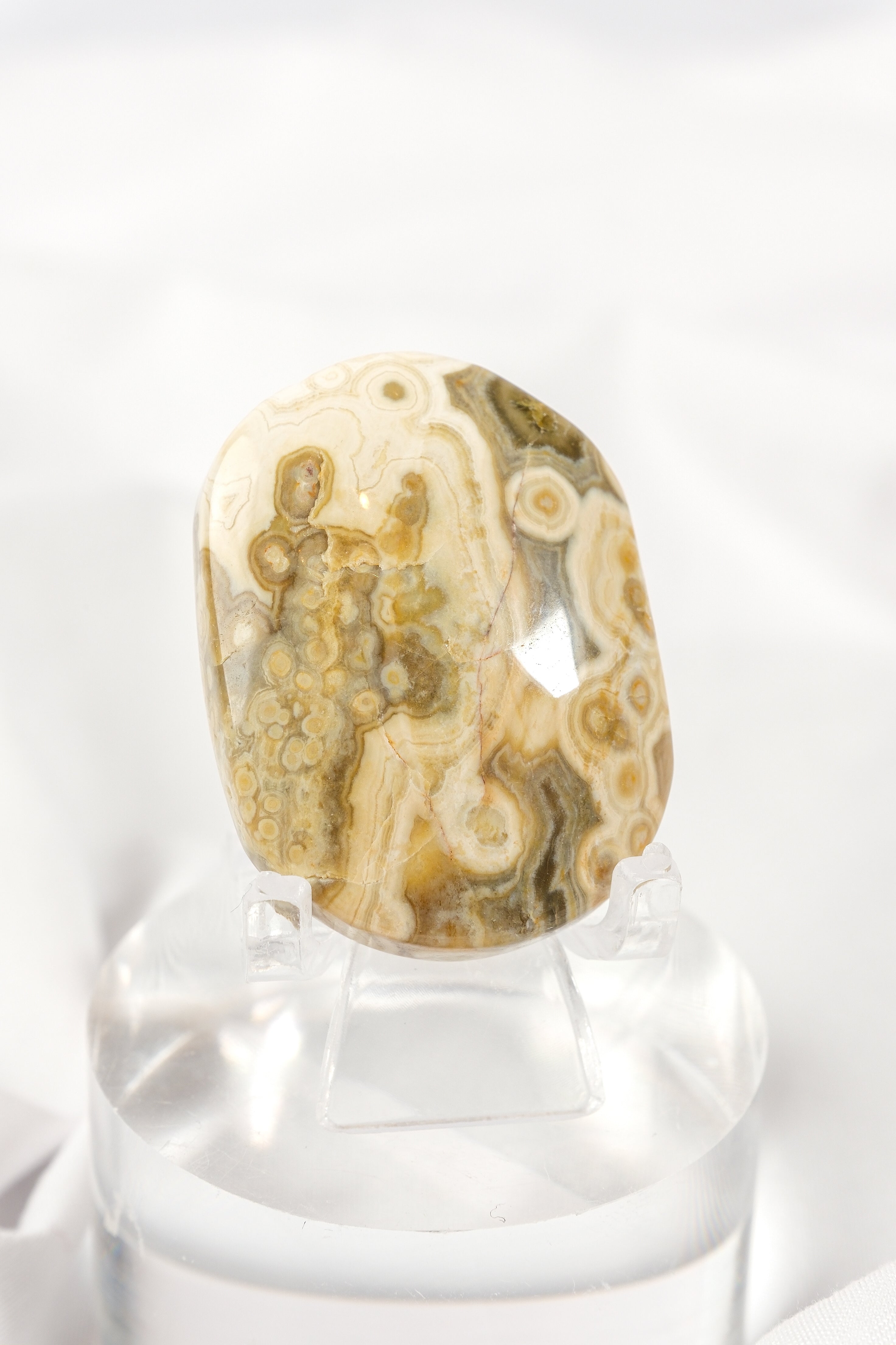 Orbicular Sea Jasper Palmstone