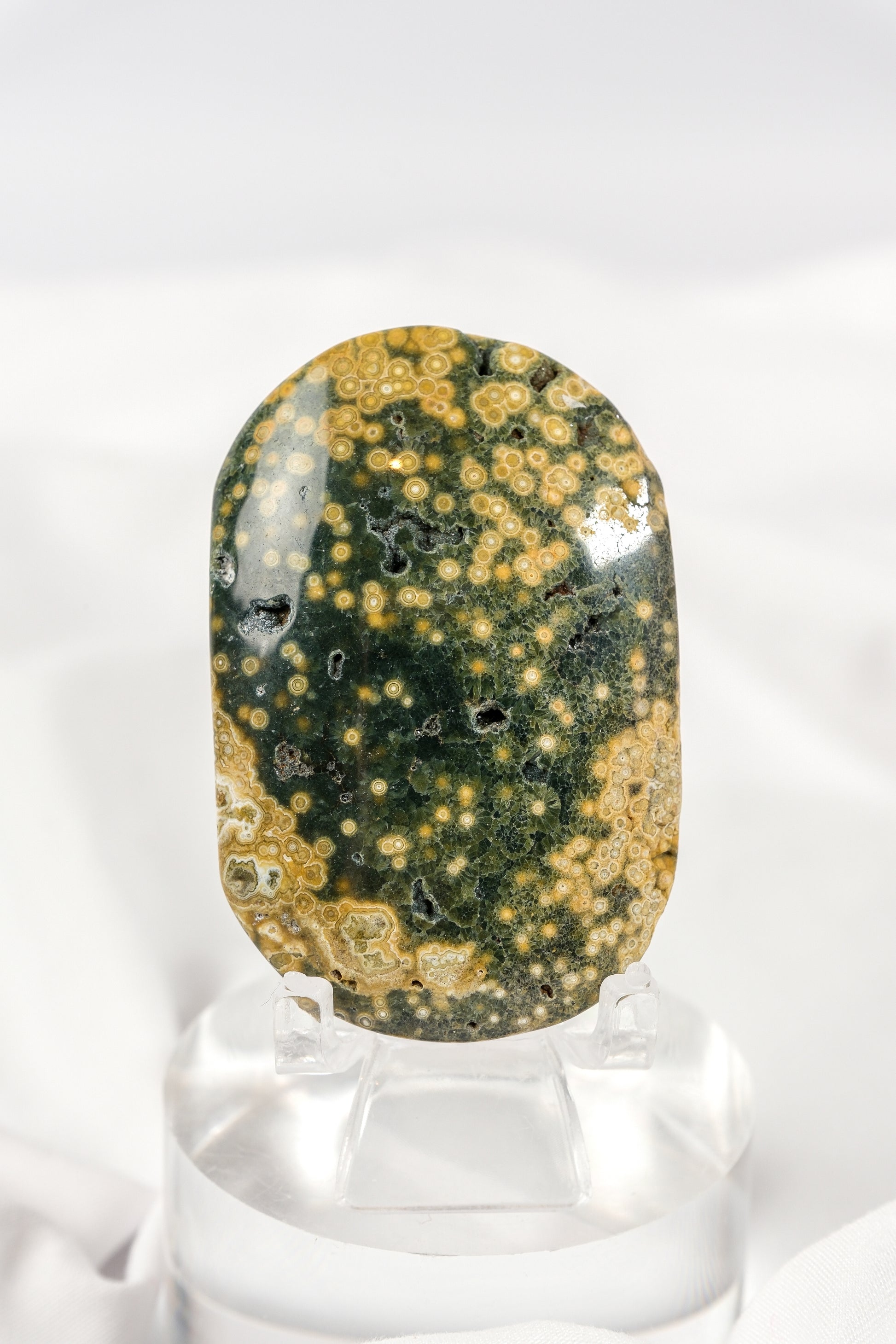 Orbicular Sea Jasper Palmstone