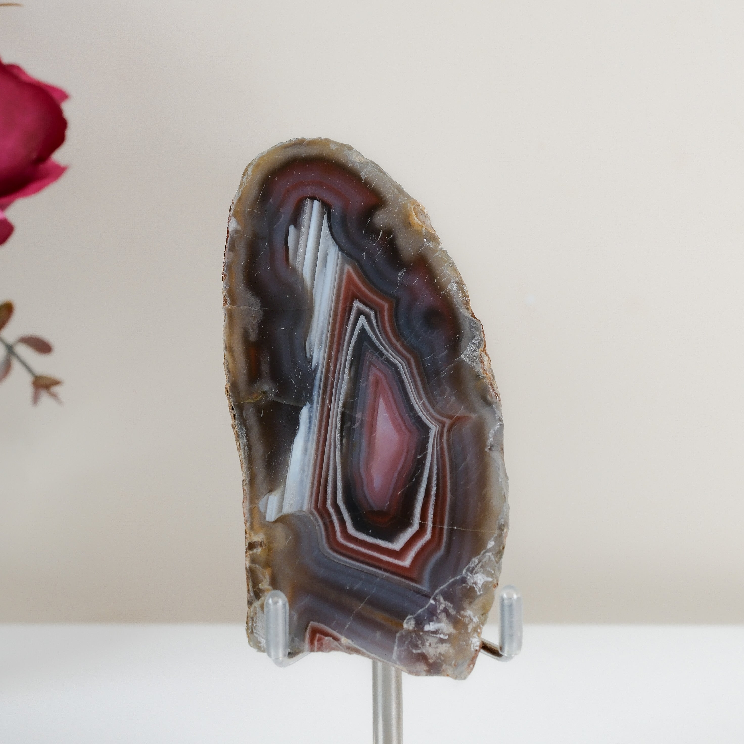 Crimson/Swazi Agate Slab