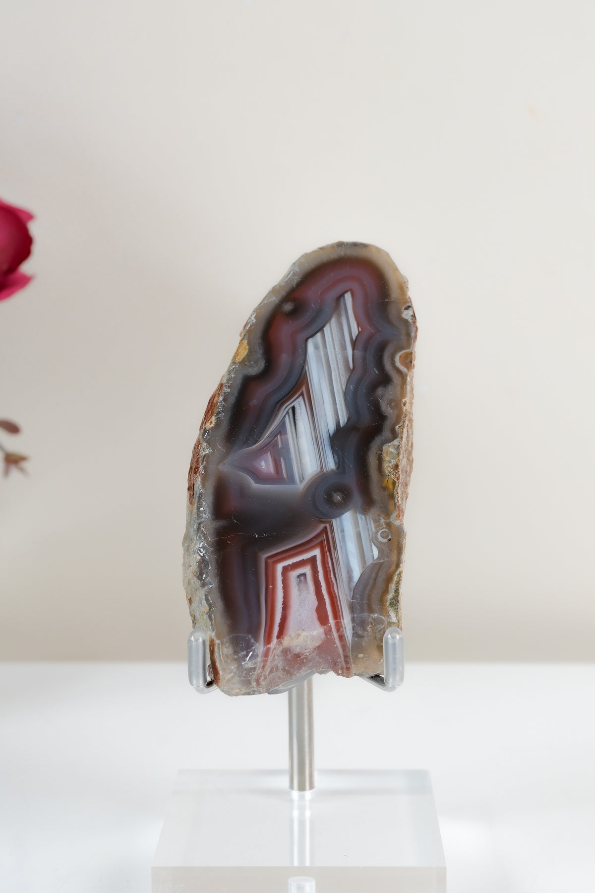 Crimson/Swazi Agate Slab