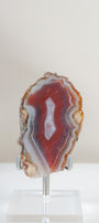 Crimson/Swazi Agate Slab