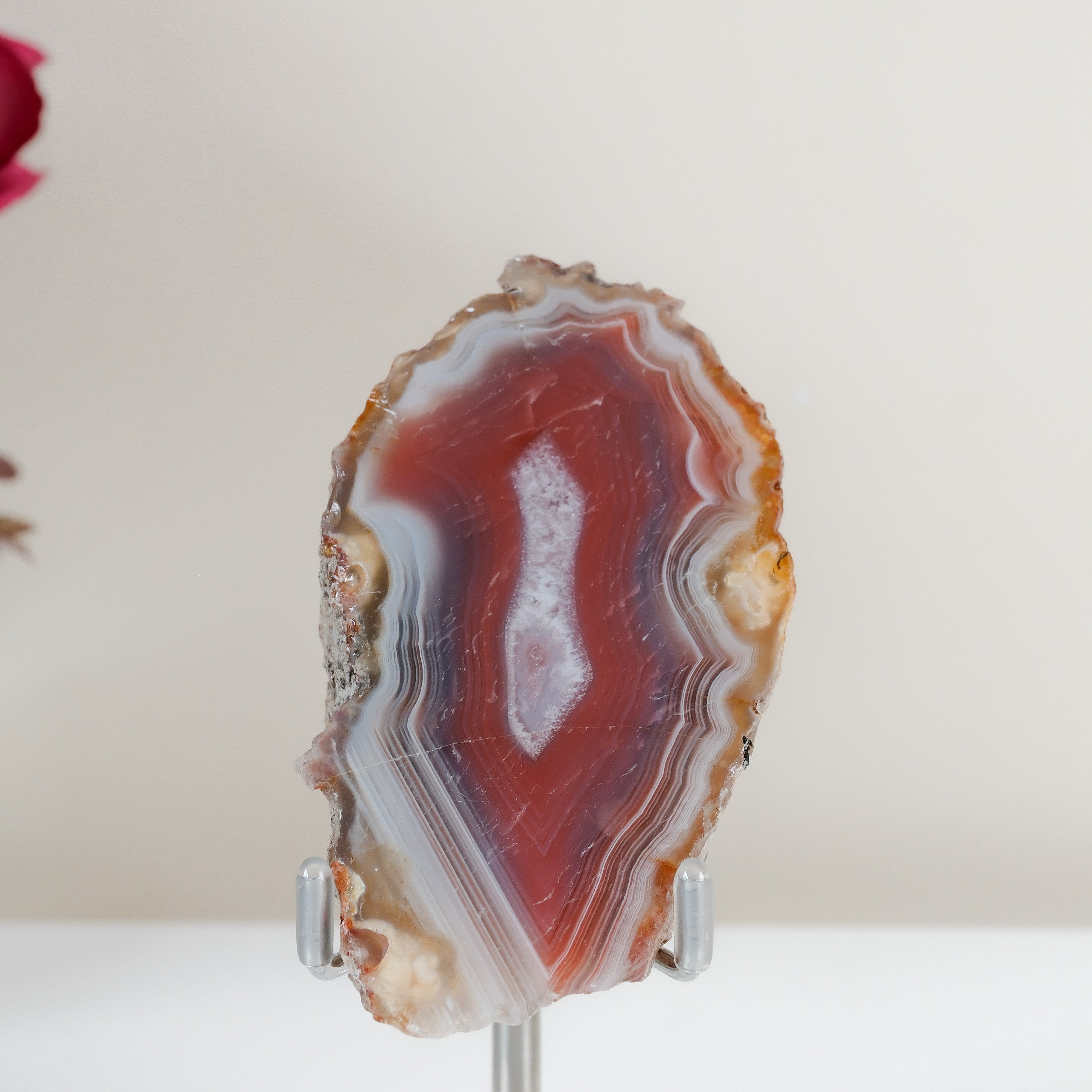 Crimson/Swazi Agate Slab