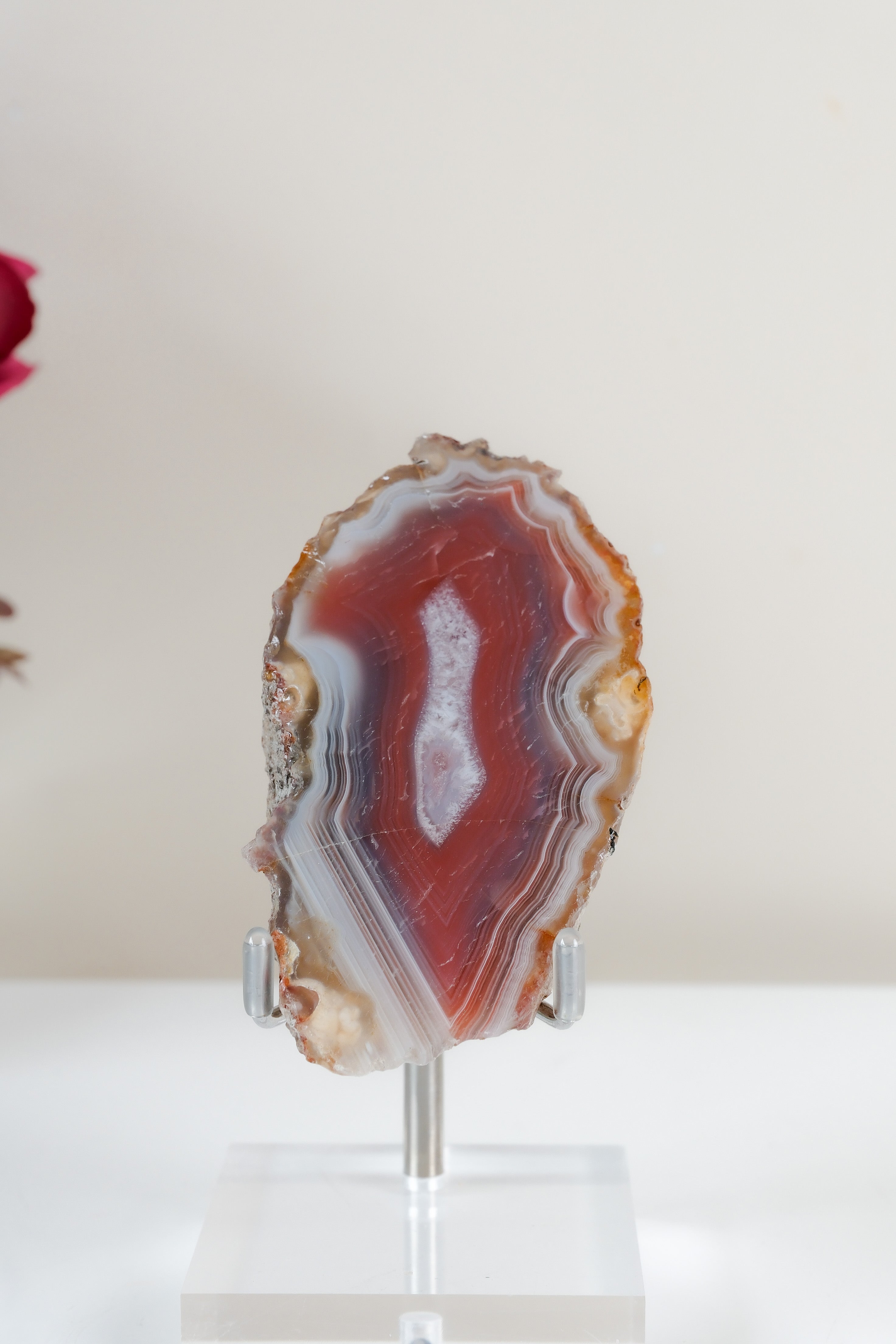 Crimson/Swazi Agate Slab