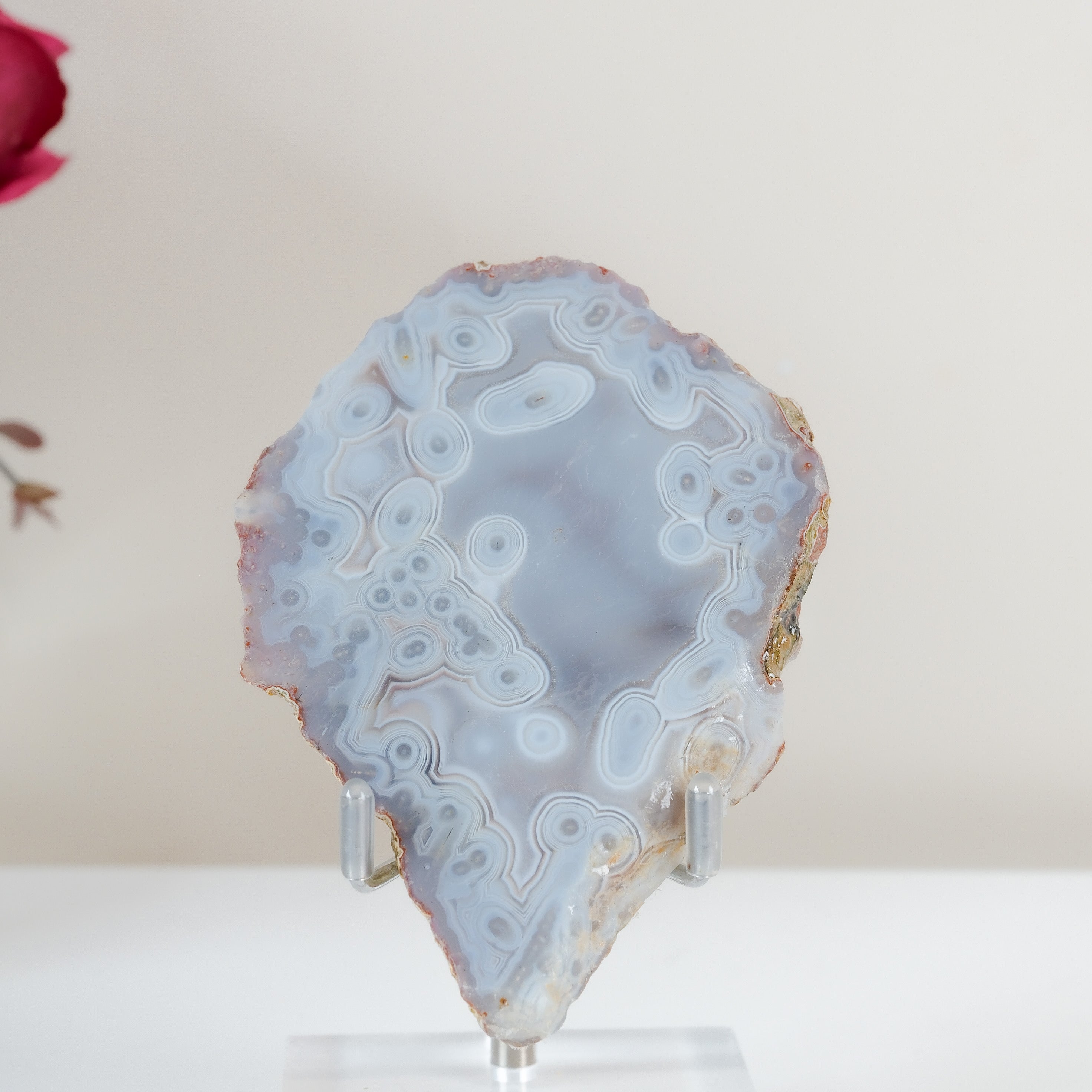 Crimson/Swazi Agate Slab