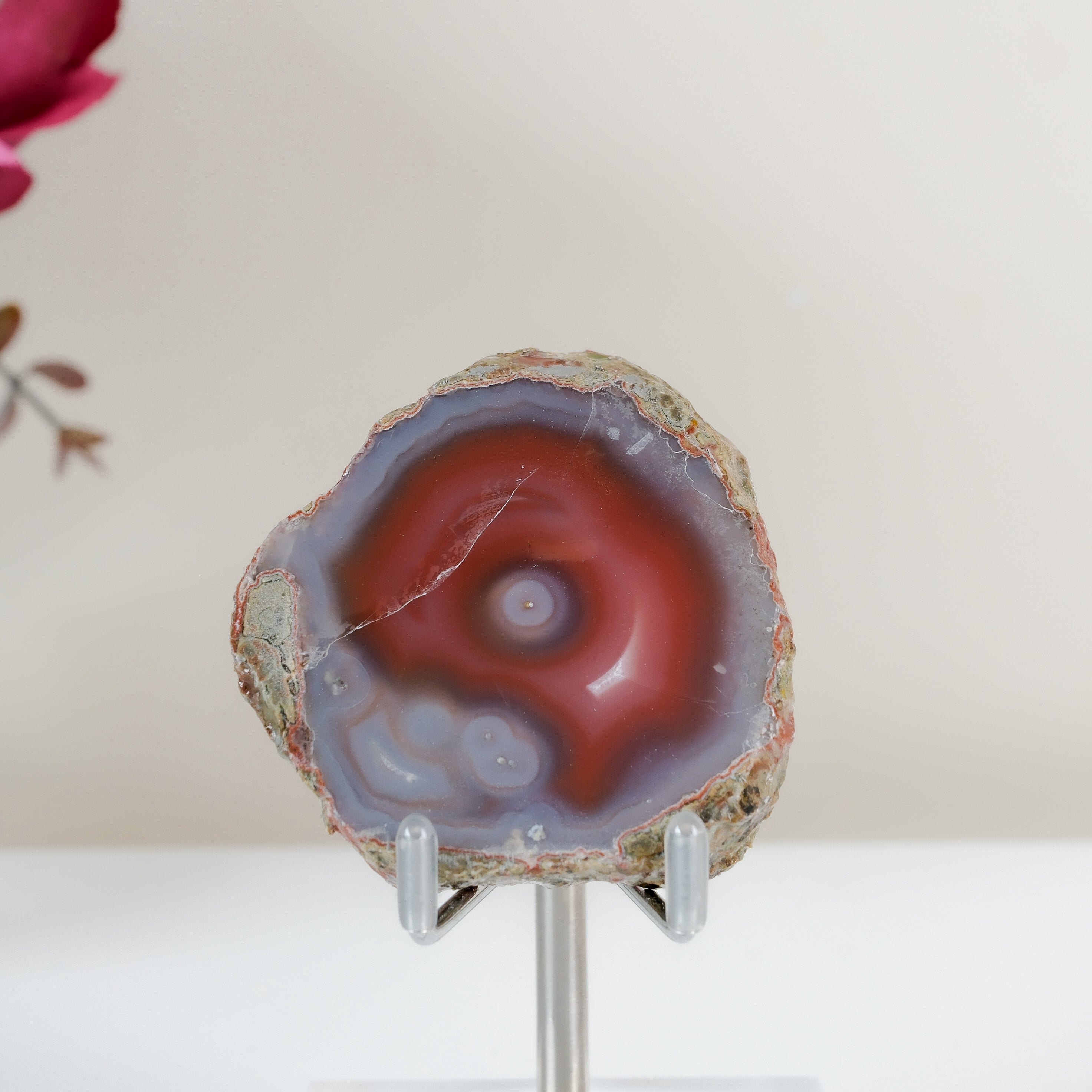 Crimson/Swazi Agate Slab