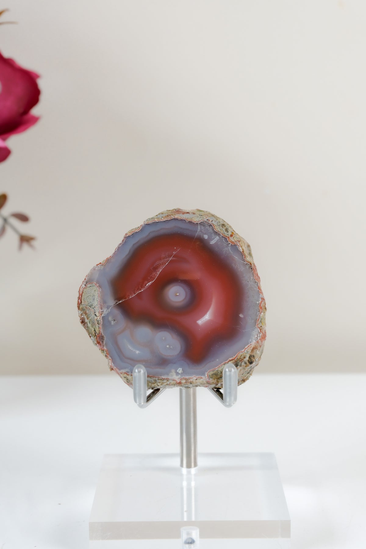 Crimson/Swazi Agate Slab