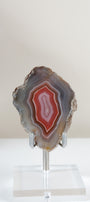Crimson/Swazi Agate Slab