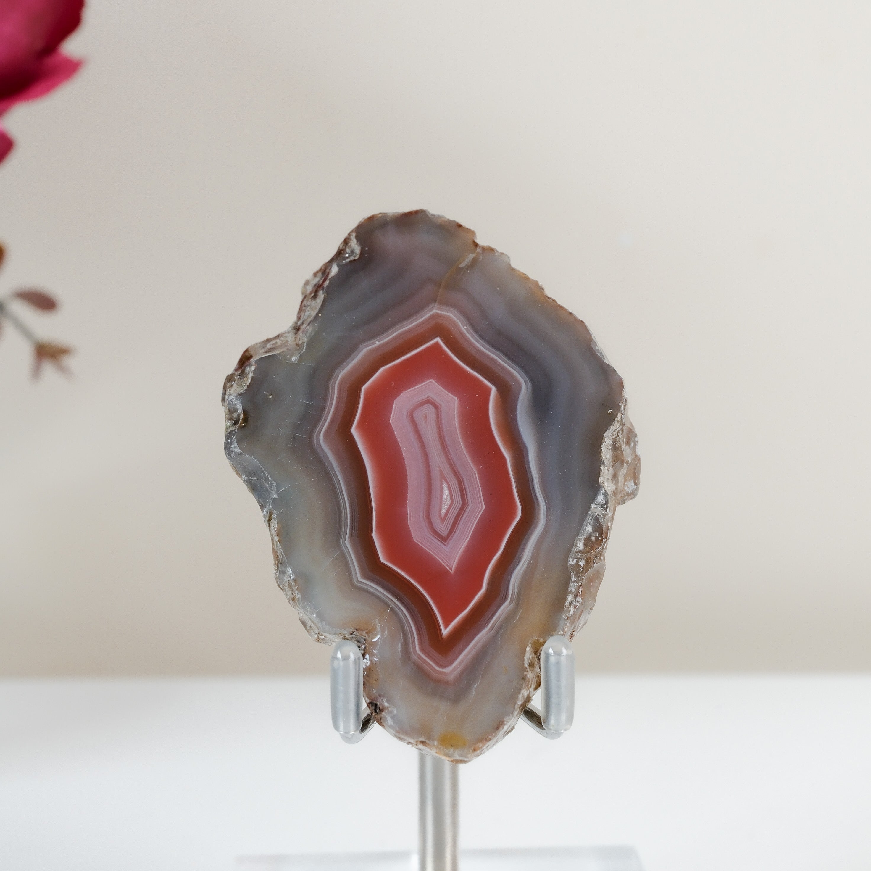Crimson/Swazi Agate Slab