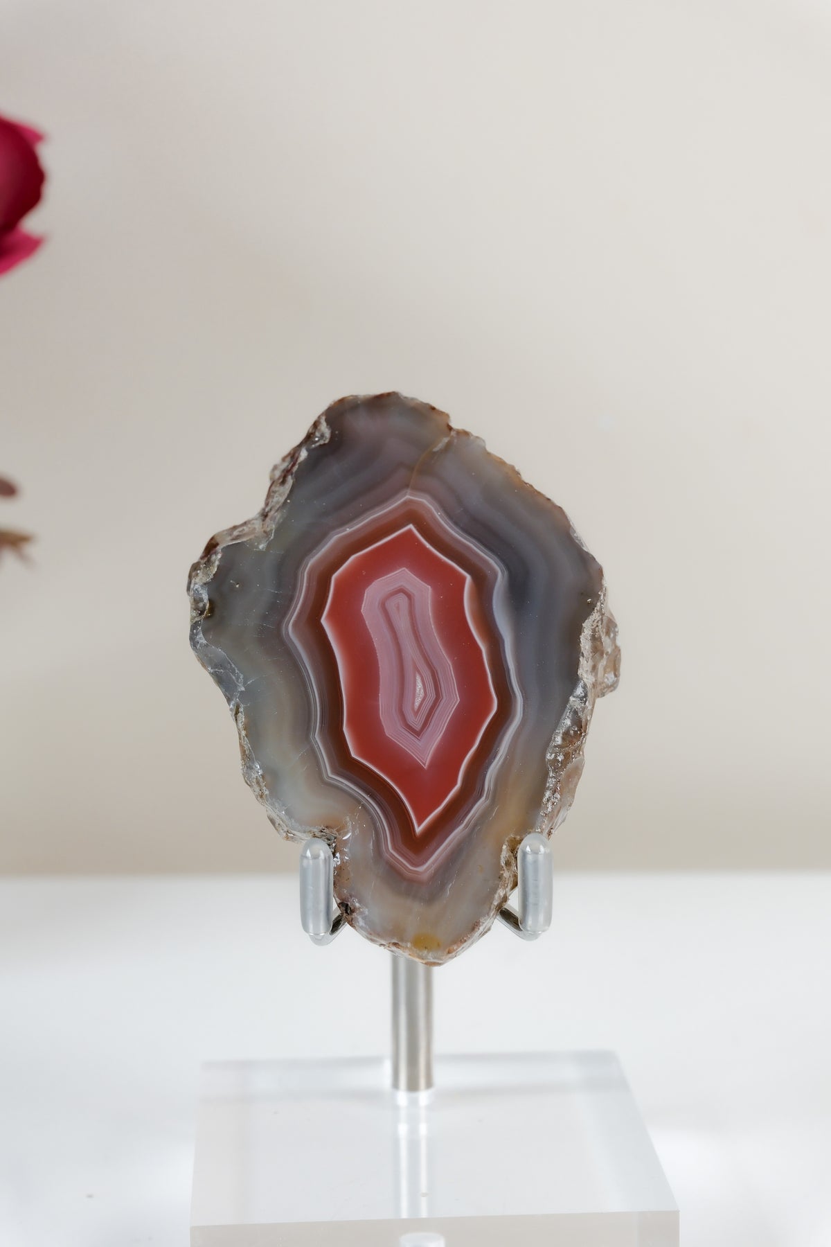 Crimson/Swazi Agate Slab