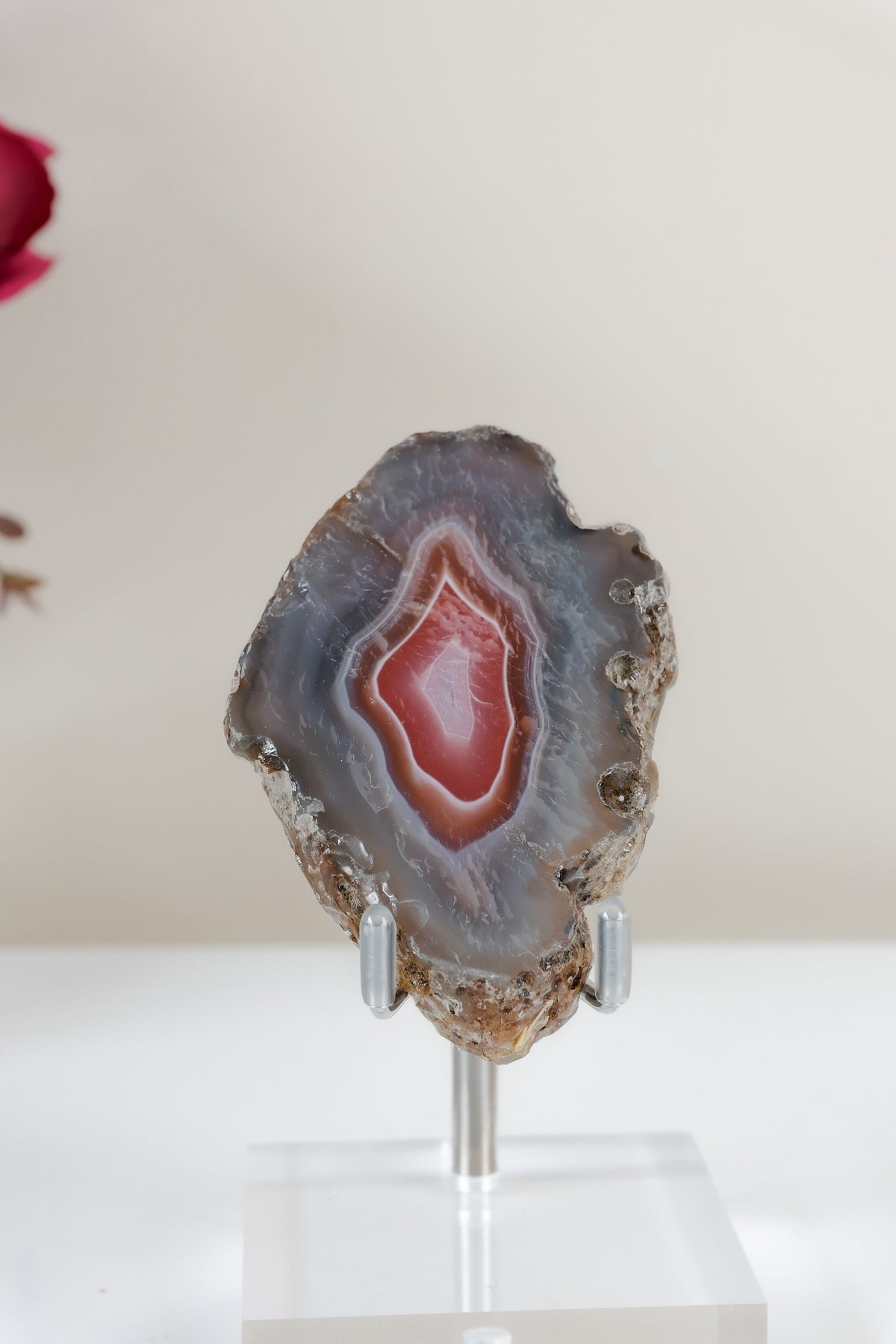 Crimson/Swazi Agate Slab