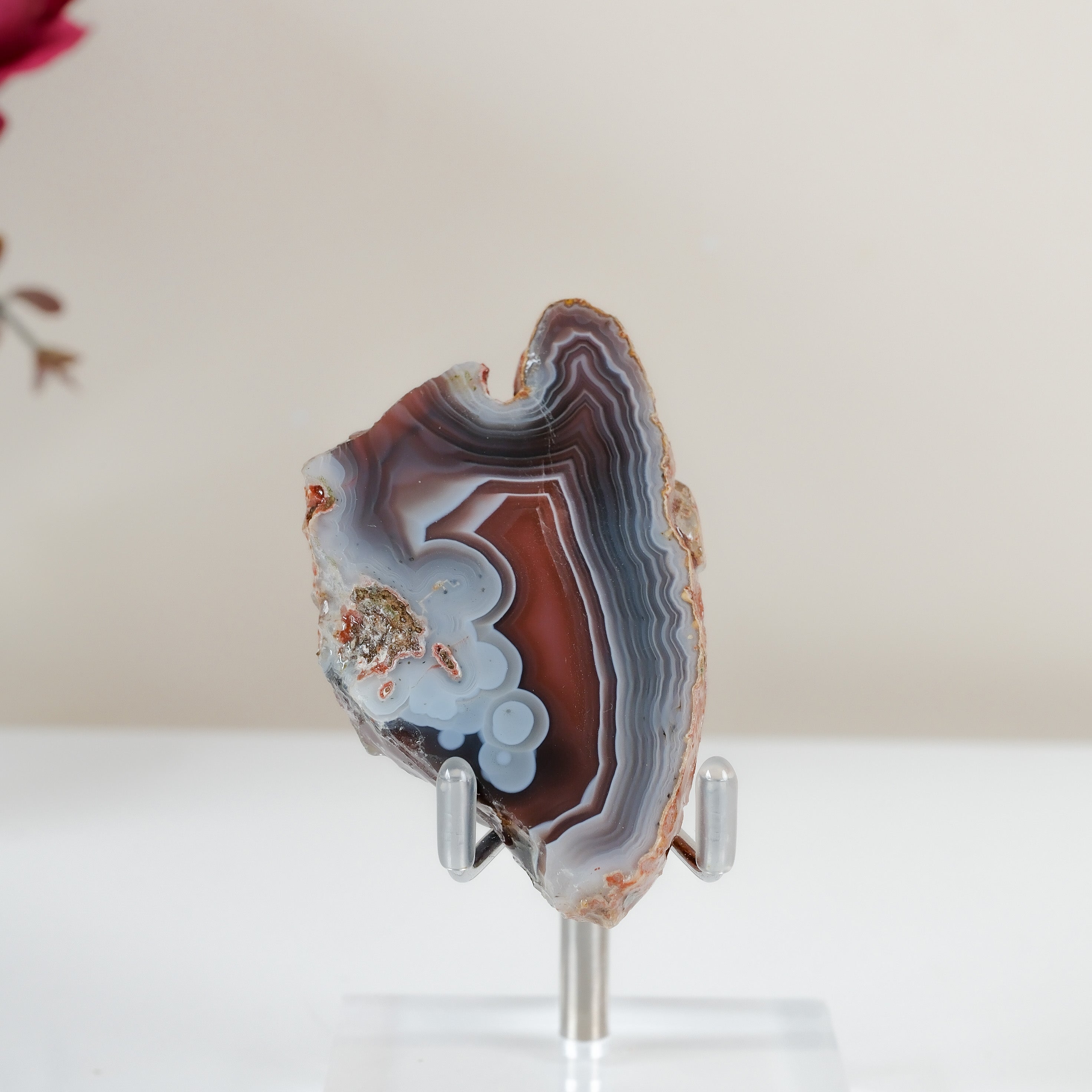 Crimson/Swazi Agate Slab
