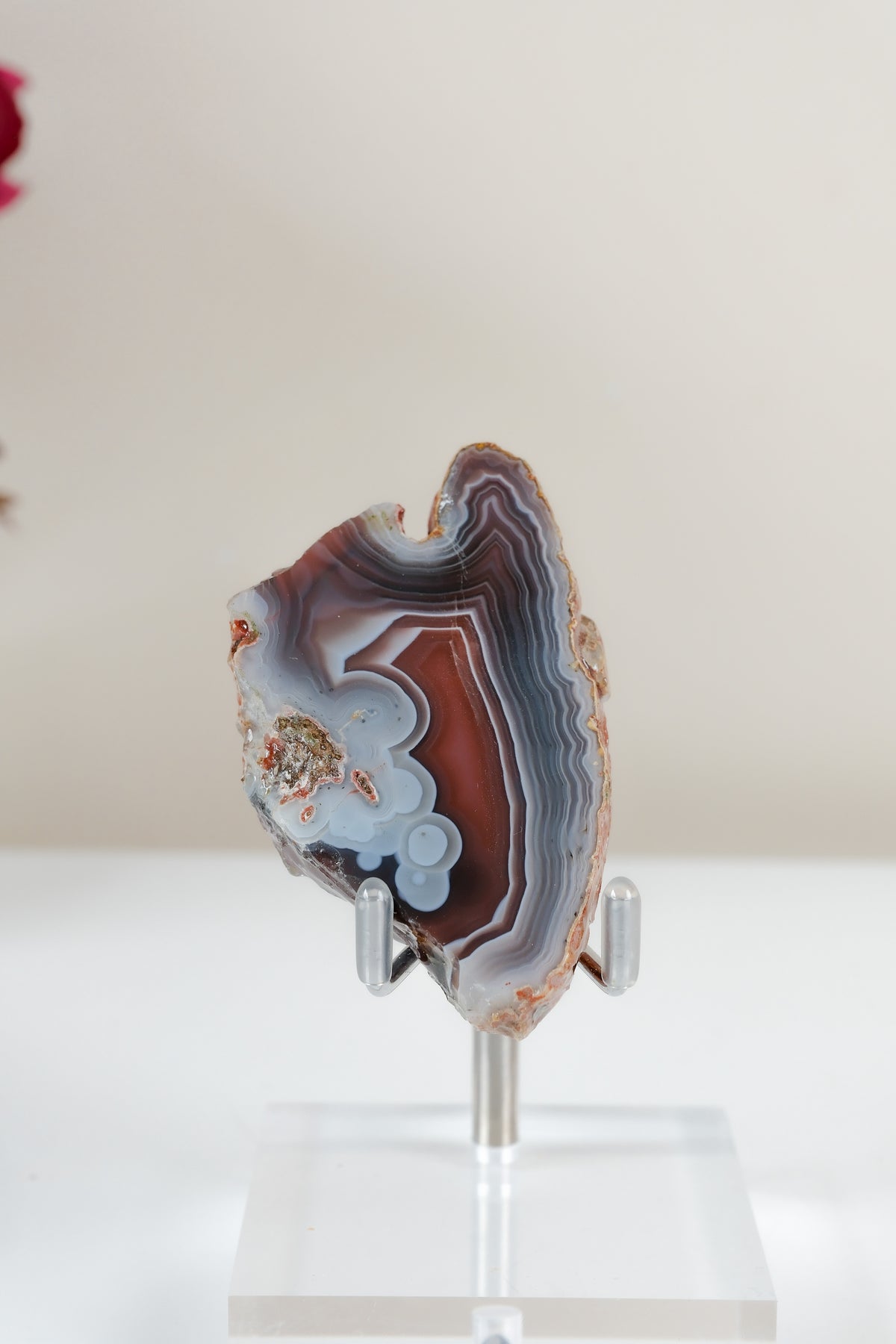 Crimson/Swazi Agate Slab