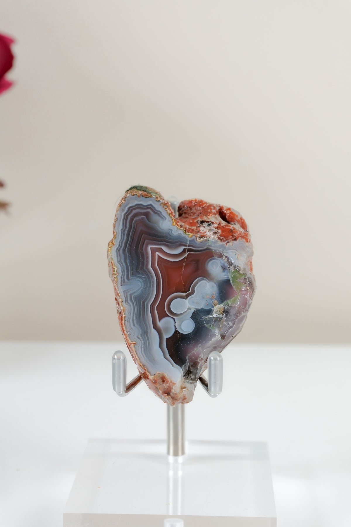 Crimson/Swazi Agate Slab