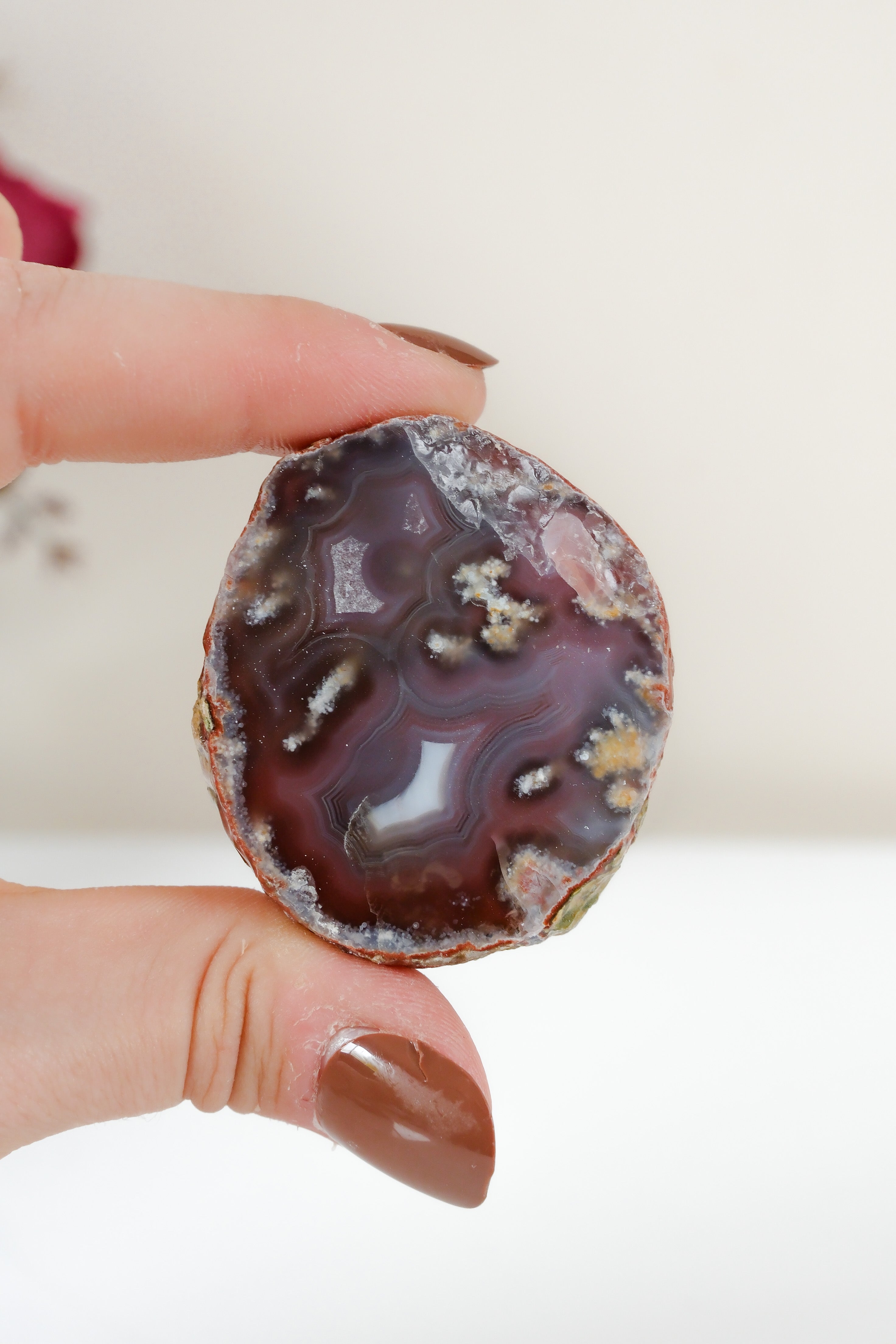 Crimson/Swazi Agate Slab