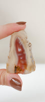 Crimson/Swazi Agate Slab