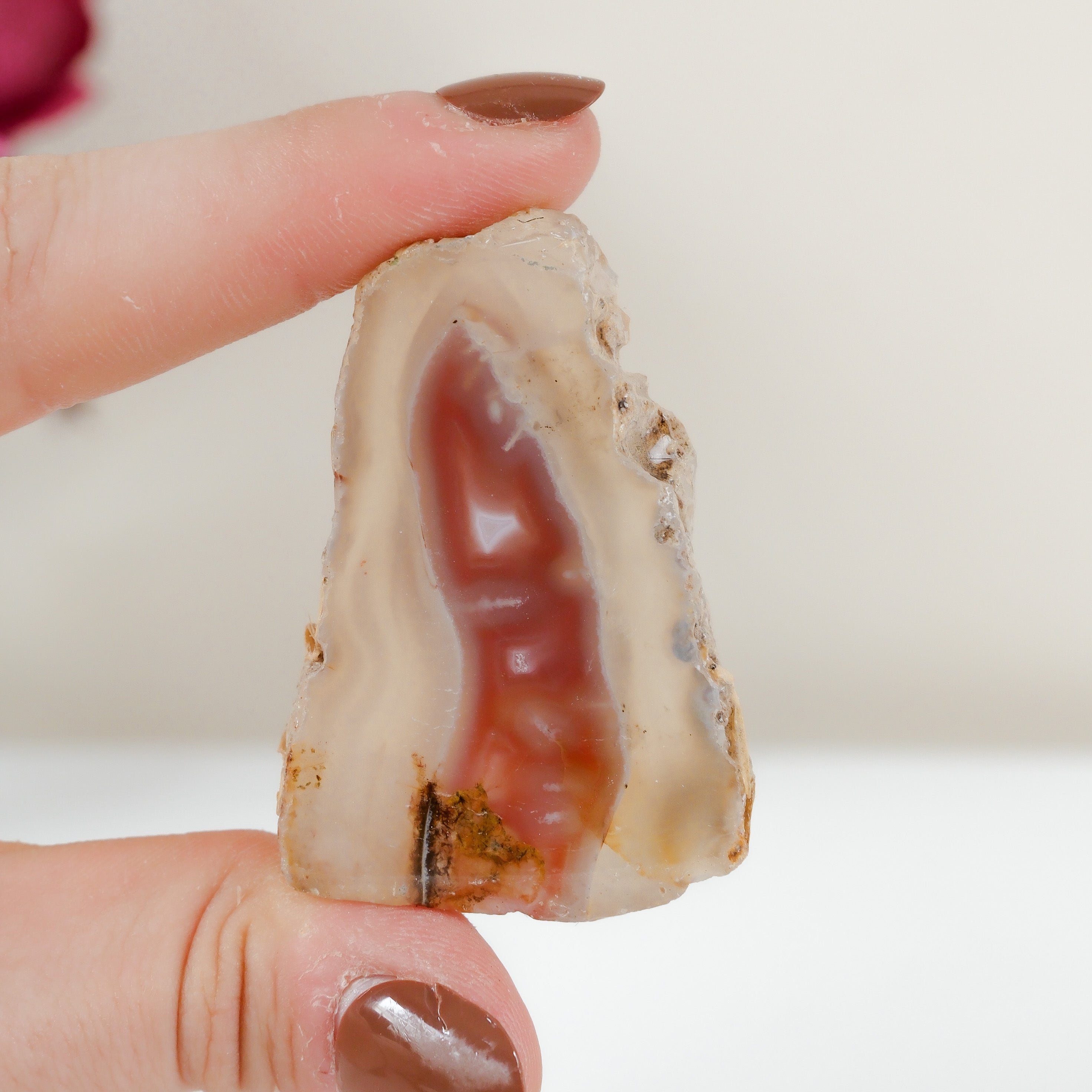 Crimson/Swazi Agate Slab