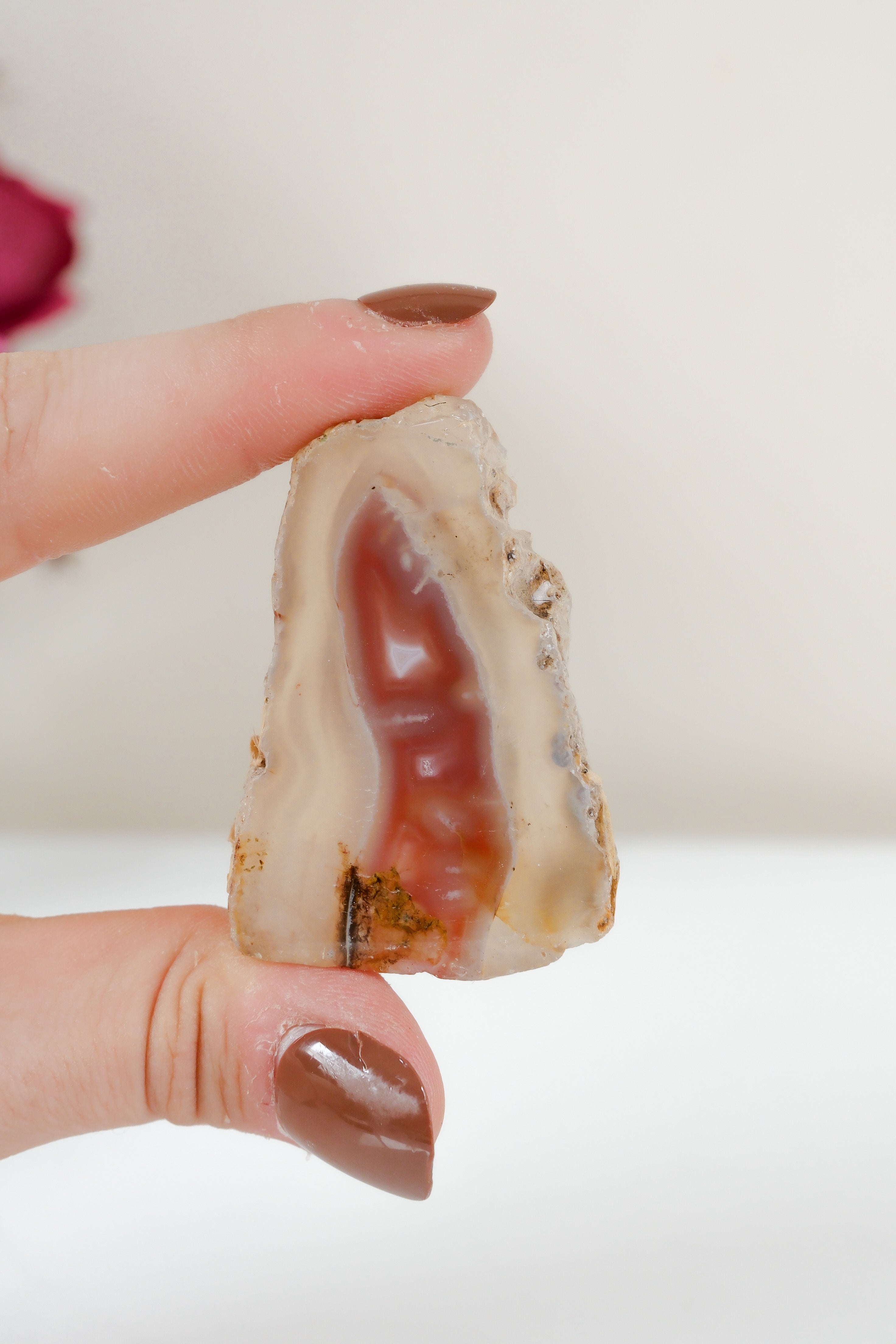 Crimson/Swazi Agate Slab