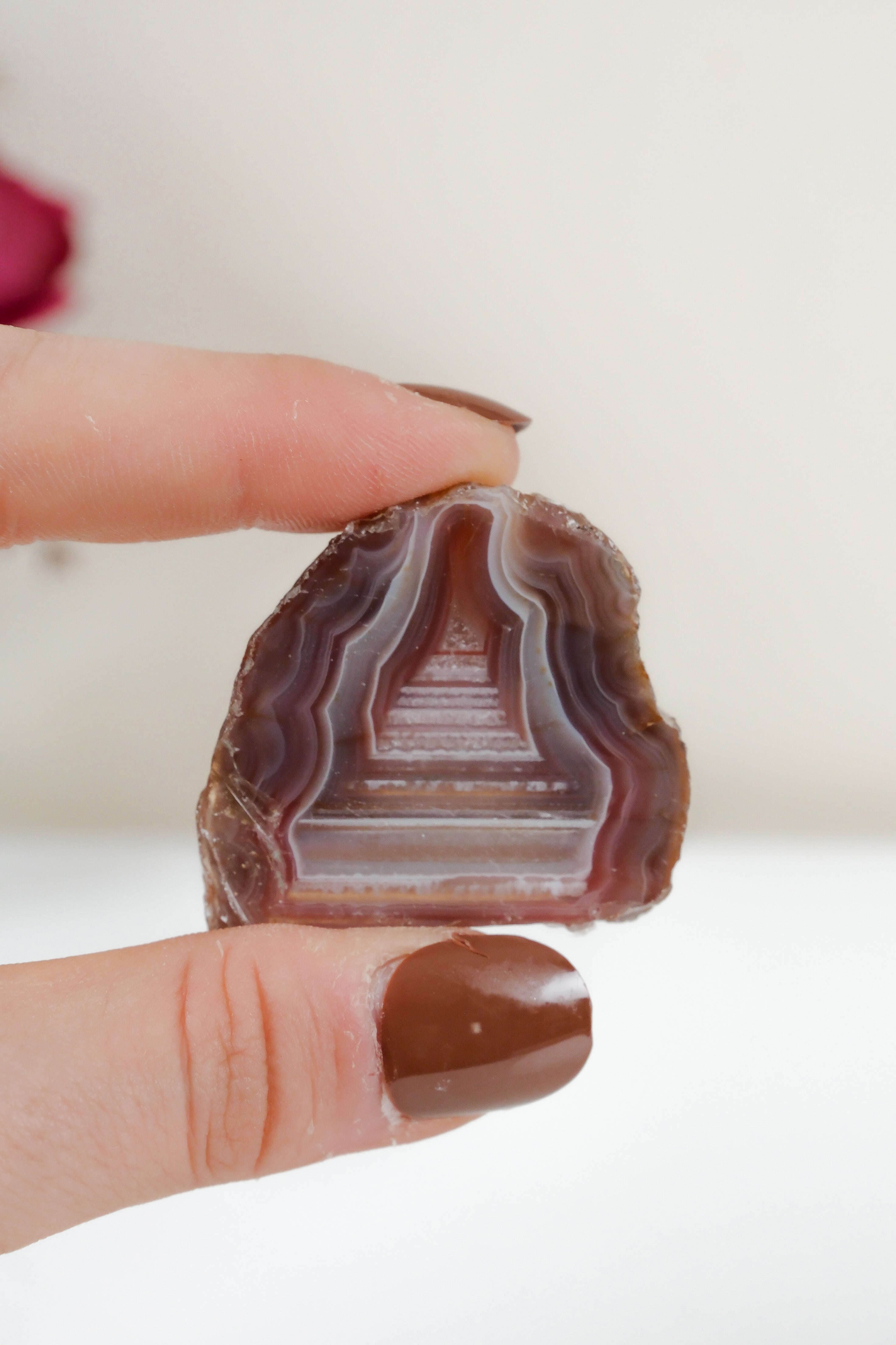 Crimson/Swazi Agate Slab
