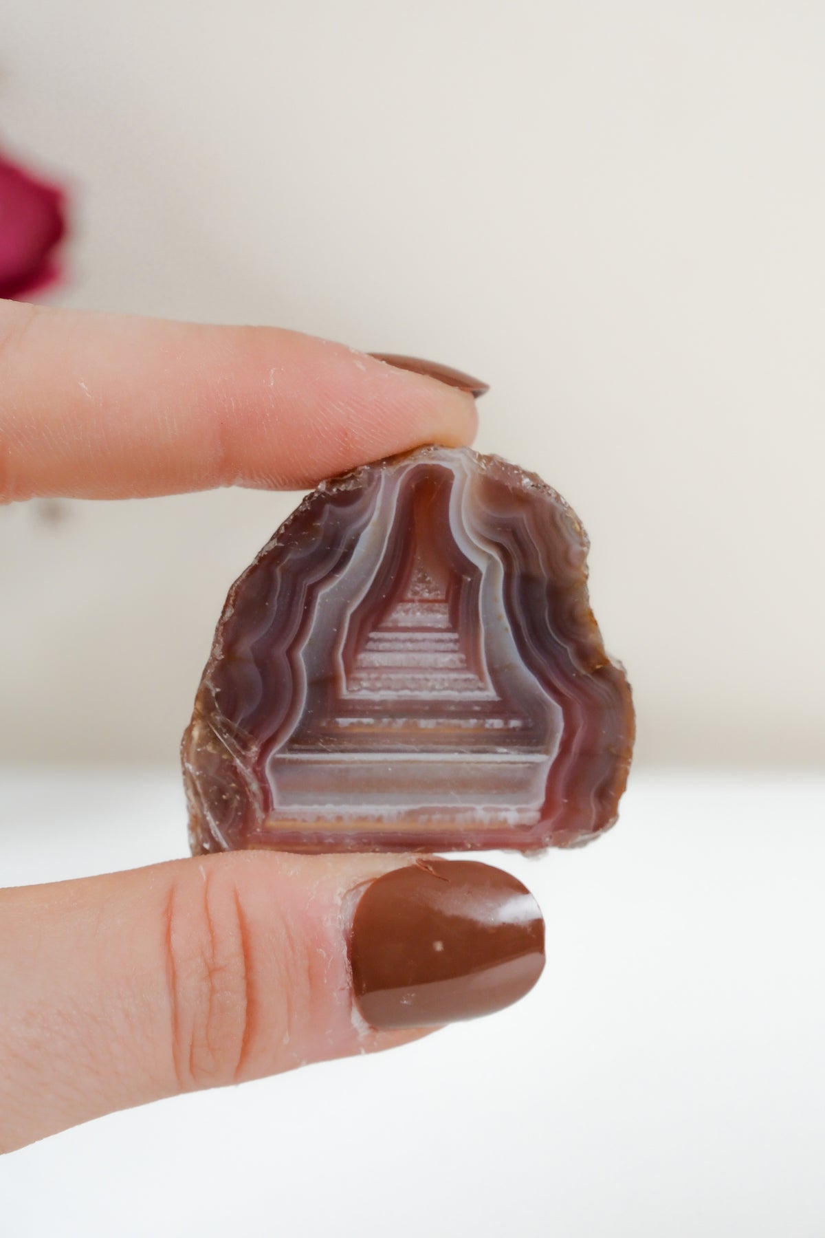 Crimson/Swazi Agate Slab