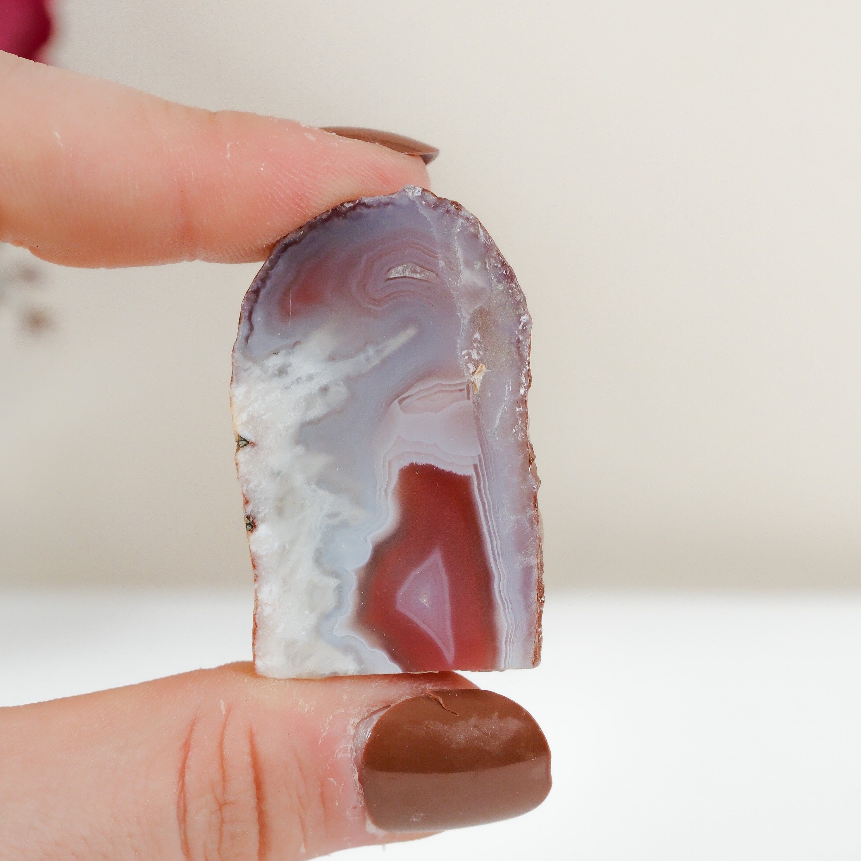 Crimson/Swazi Agate Slab