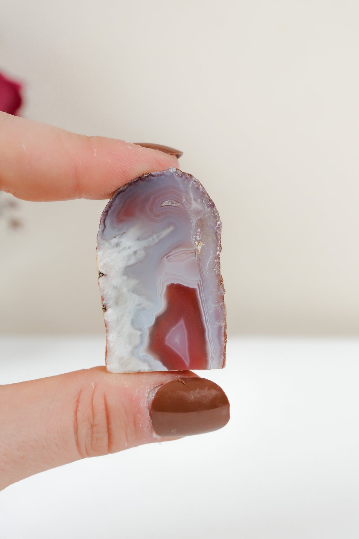 Crimson/Swazi Agate Slab