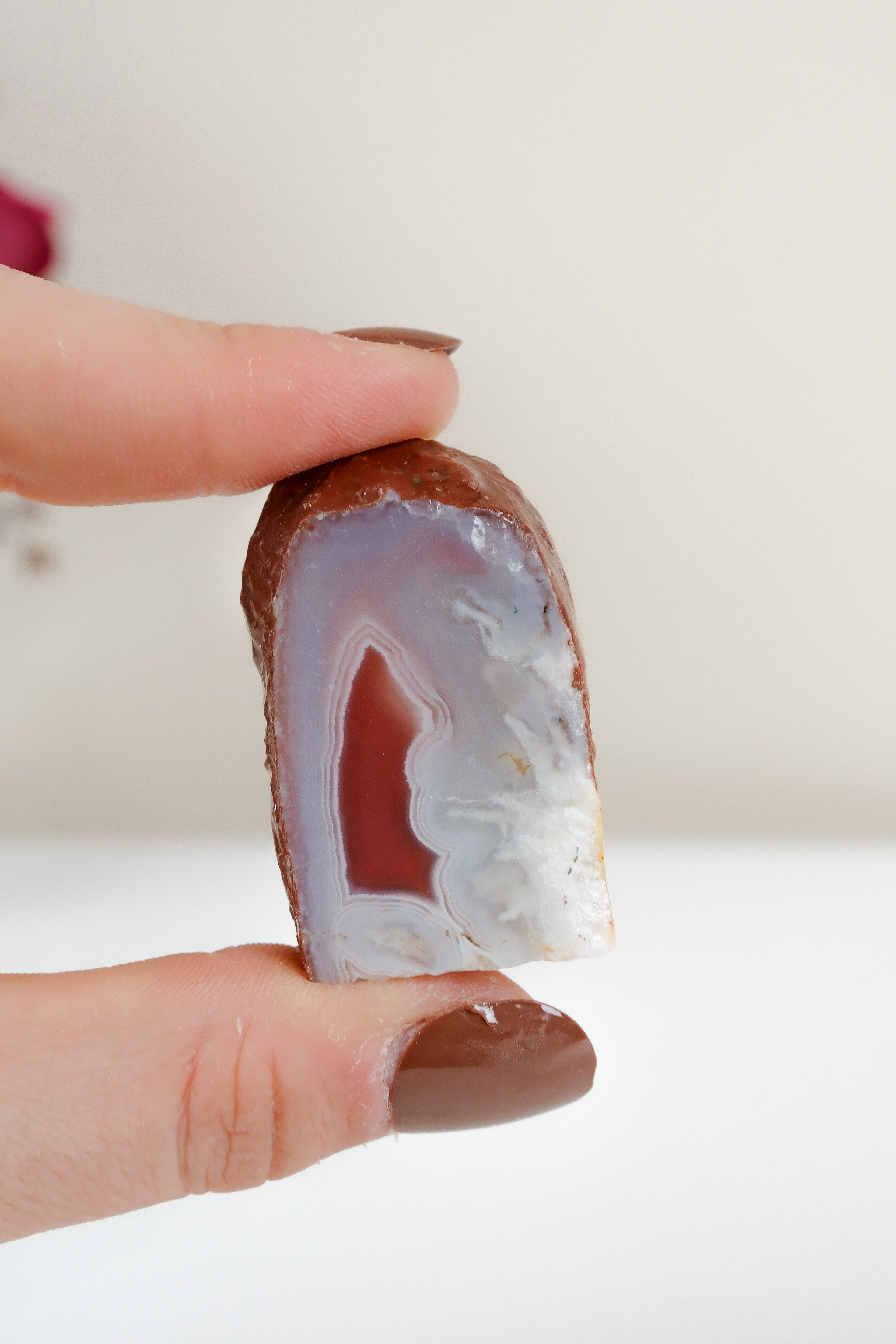 Crimson/Swazi Agate Slab