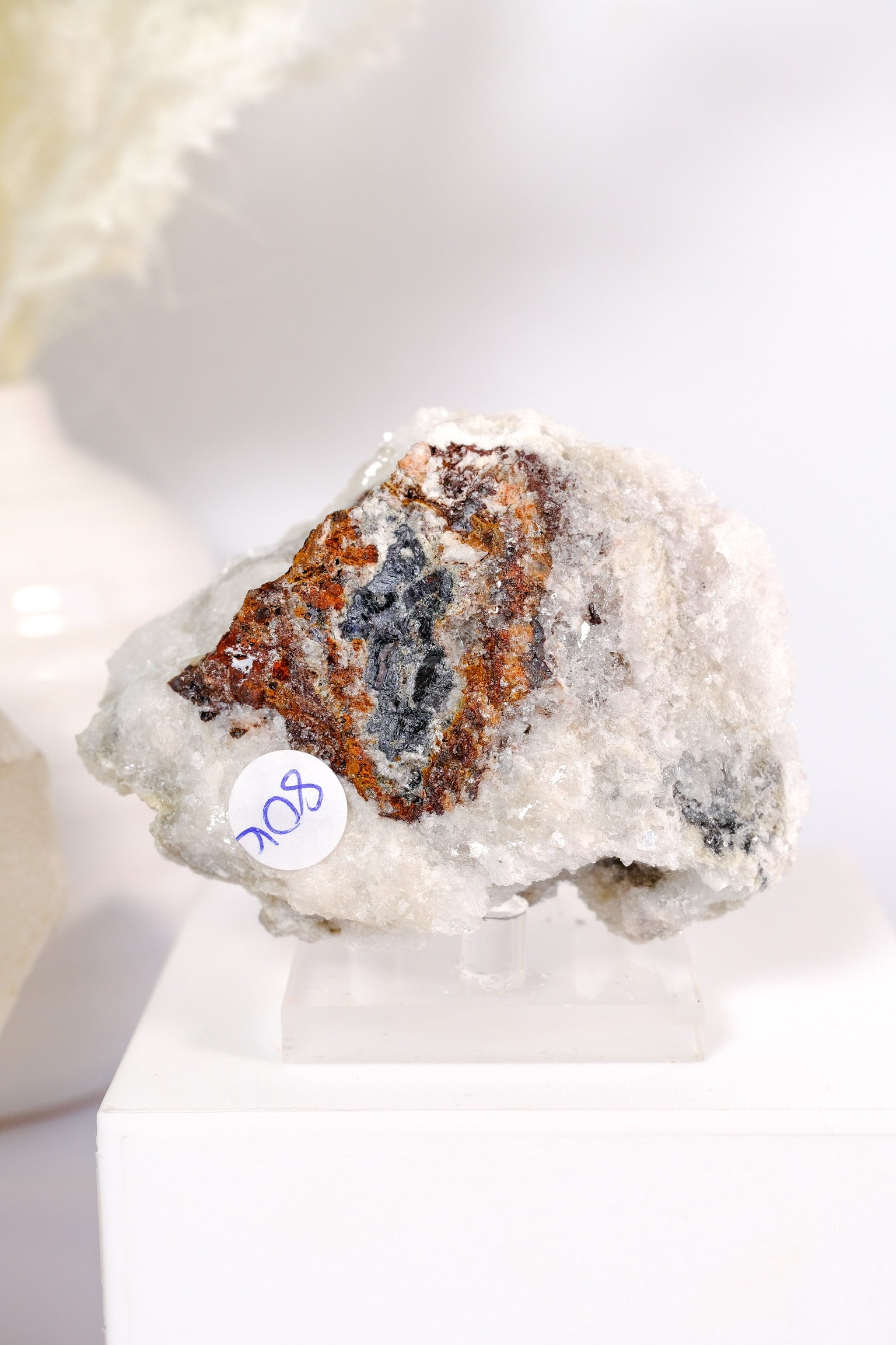 Selenite With Fluorite Cluster