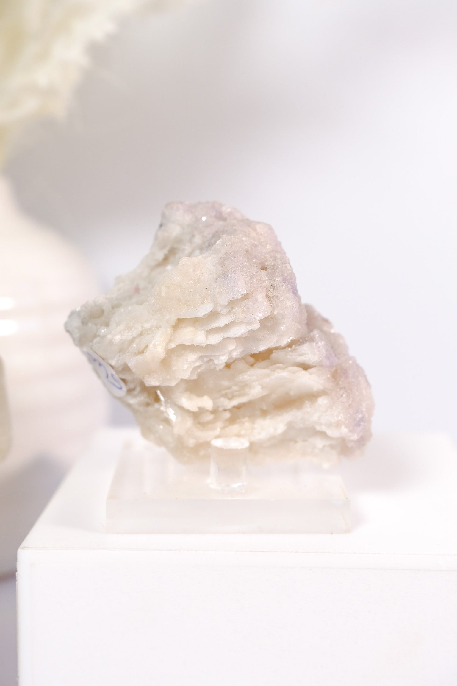 Selenite With Fluorite Cluster