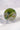 Moss Agate Slice