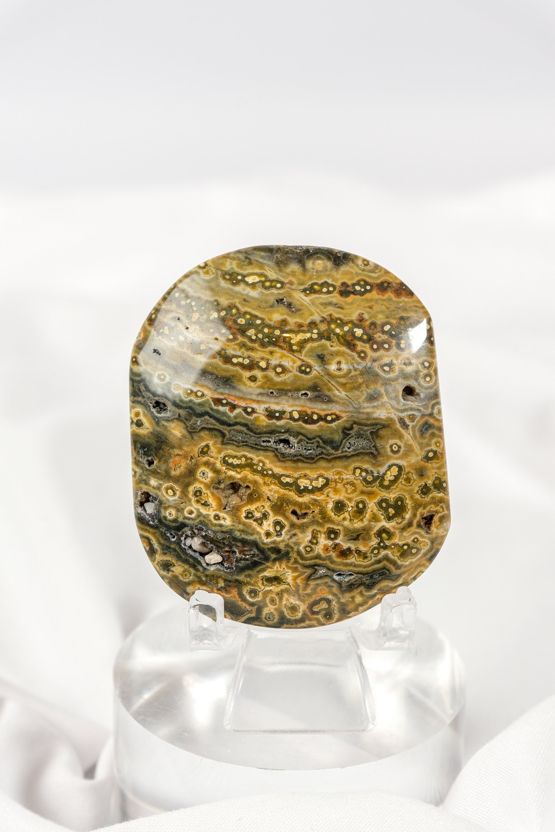 Orbicular Sea Jasper Palmstone