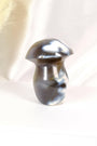 Orca Agate Mushroom Healing Crystal.