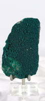 Botryoidal Green Chalcedony with Celadonite and Apophyllite Slice Healing Crystal.