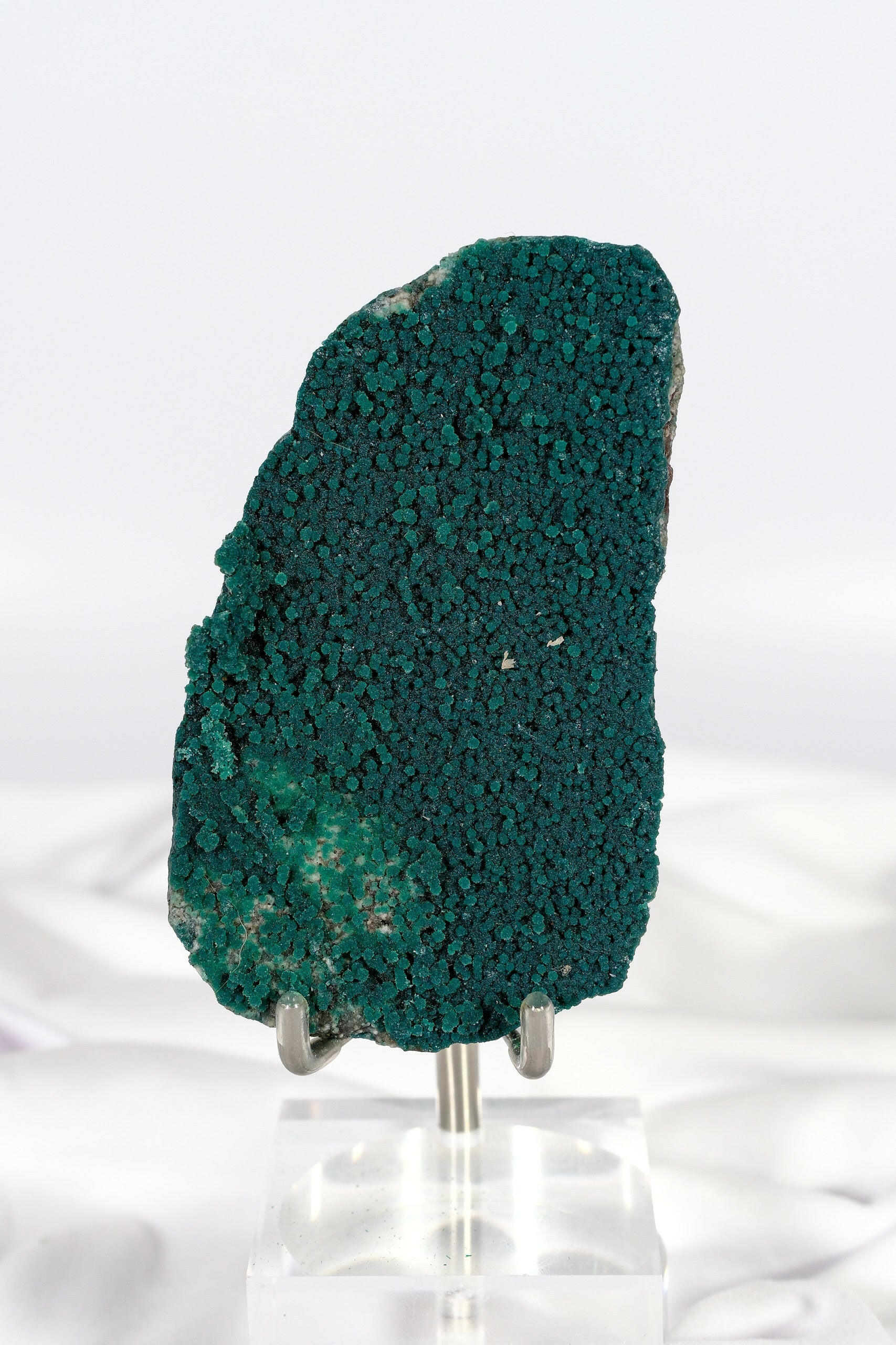 Botryoidal Green Chalcedony with Celadonite and Apophyllite Slice Healing Crystal.