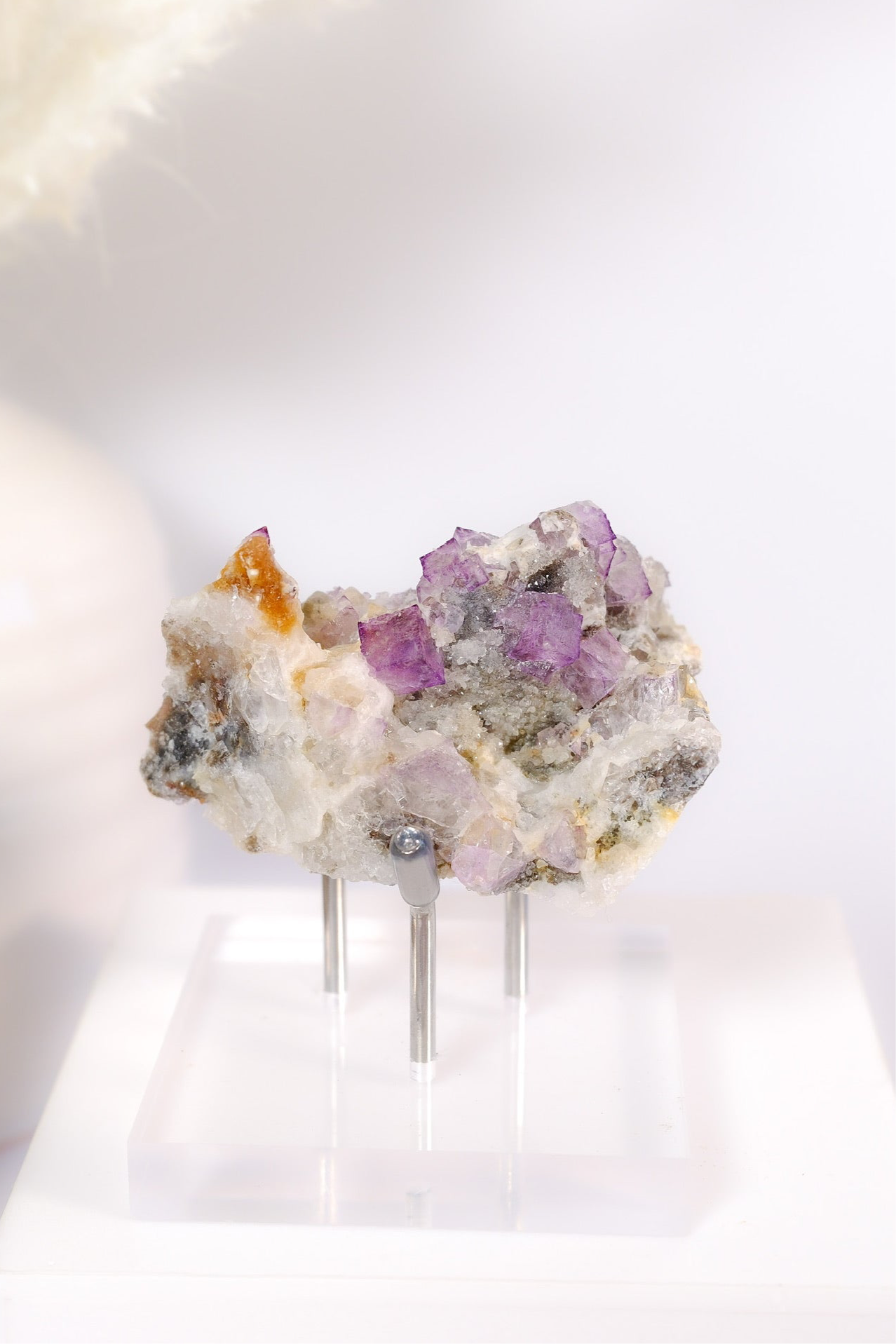El Filo Fluorite Cluster