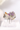 El Filo Fluorite Cluster