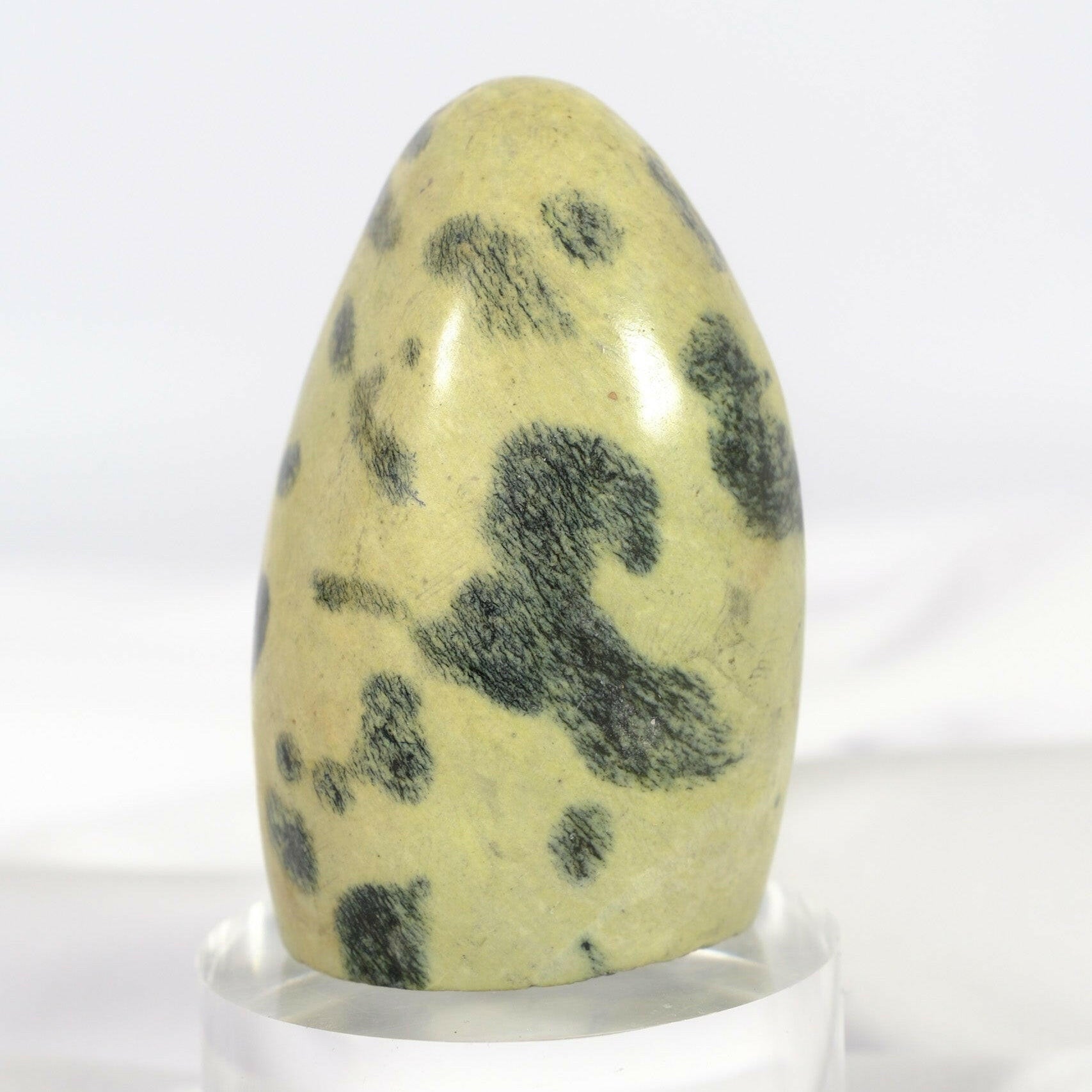 Leopard Stone Freeform Healing Crystal.