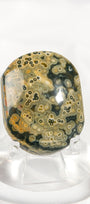 Orbicular Sea Jasper Palmstone