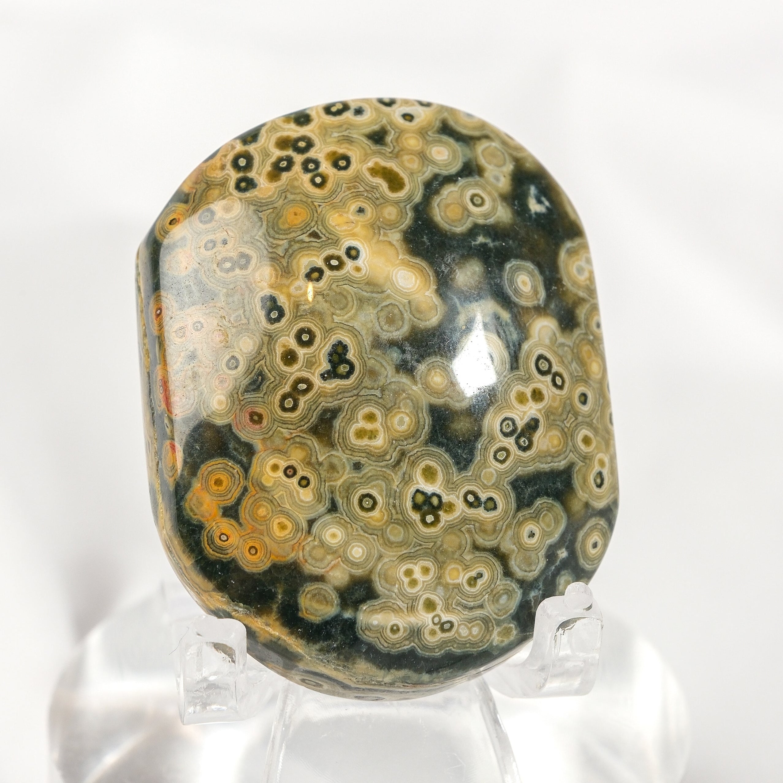 Orbicular Sea Jasper Palmstone