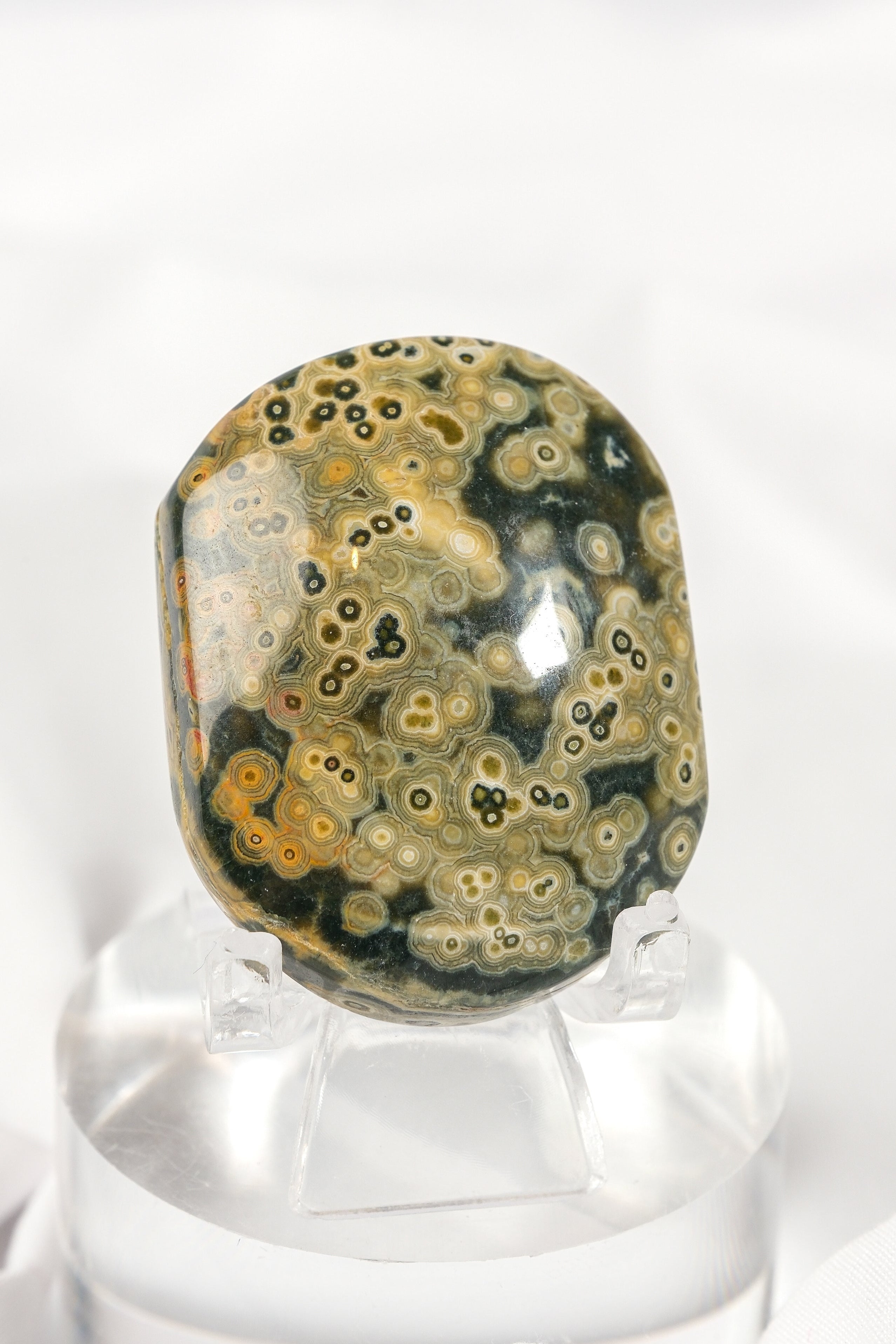 Orbicular Sea Jasper Palmstone