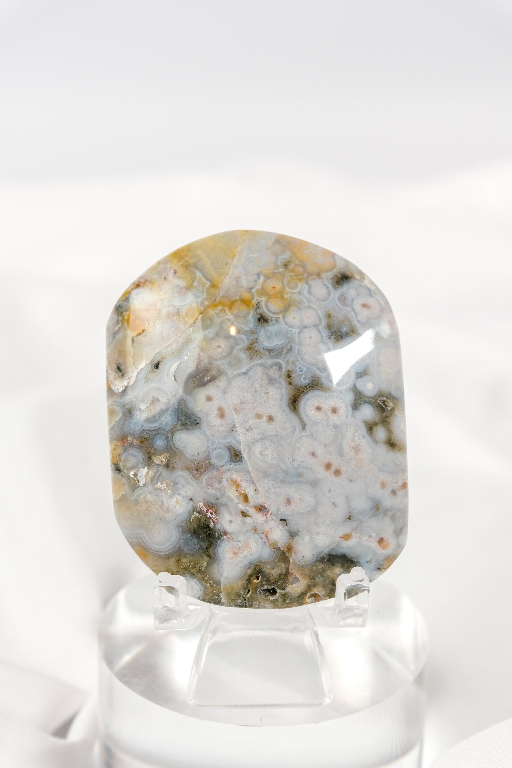 Orbicular Sea Jasper Palmstone