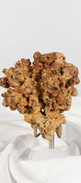Brown Cave Aragonite