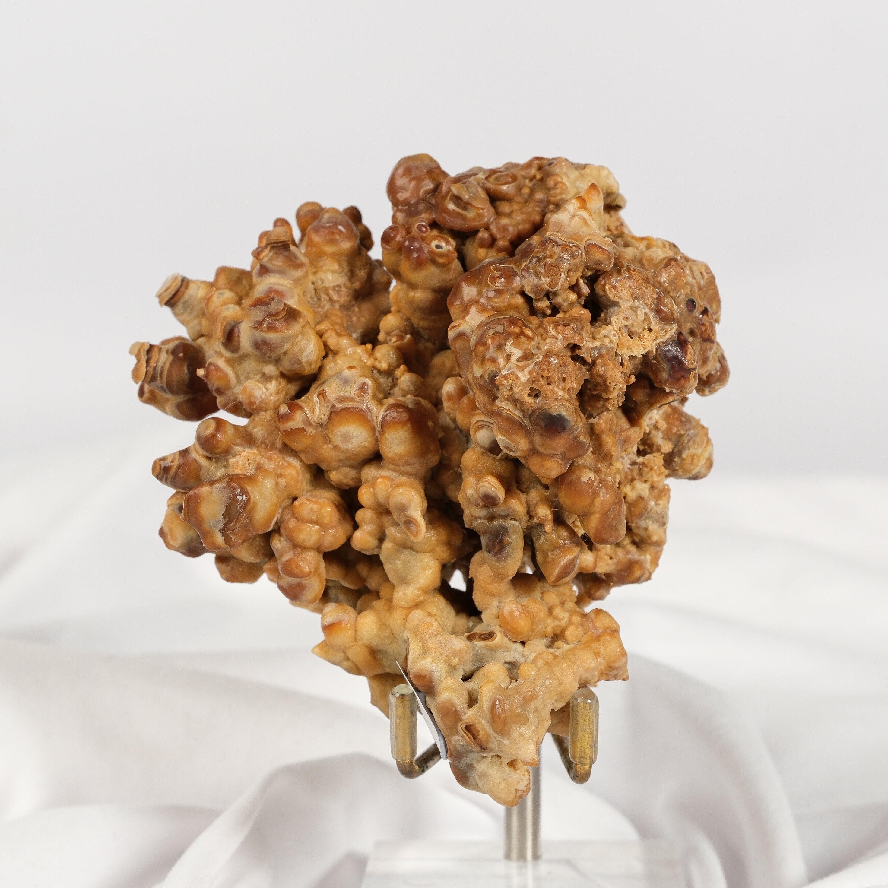 Brown Cave Aragonite