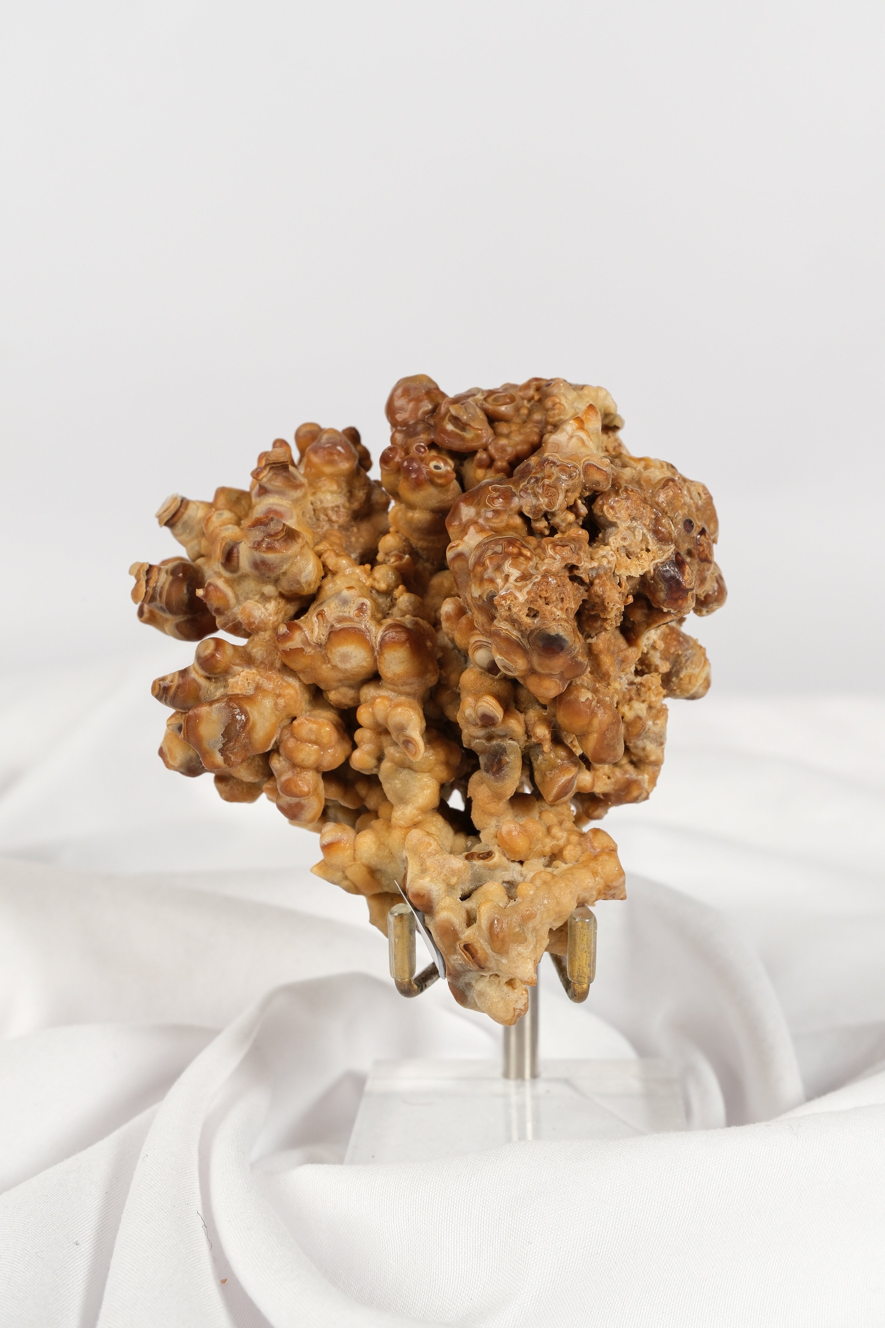 Brown Cave Aragonite