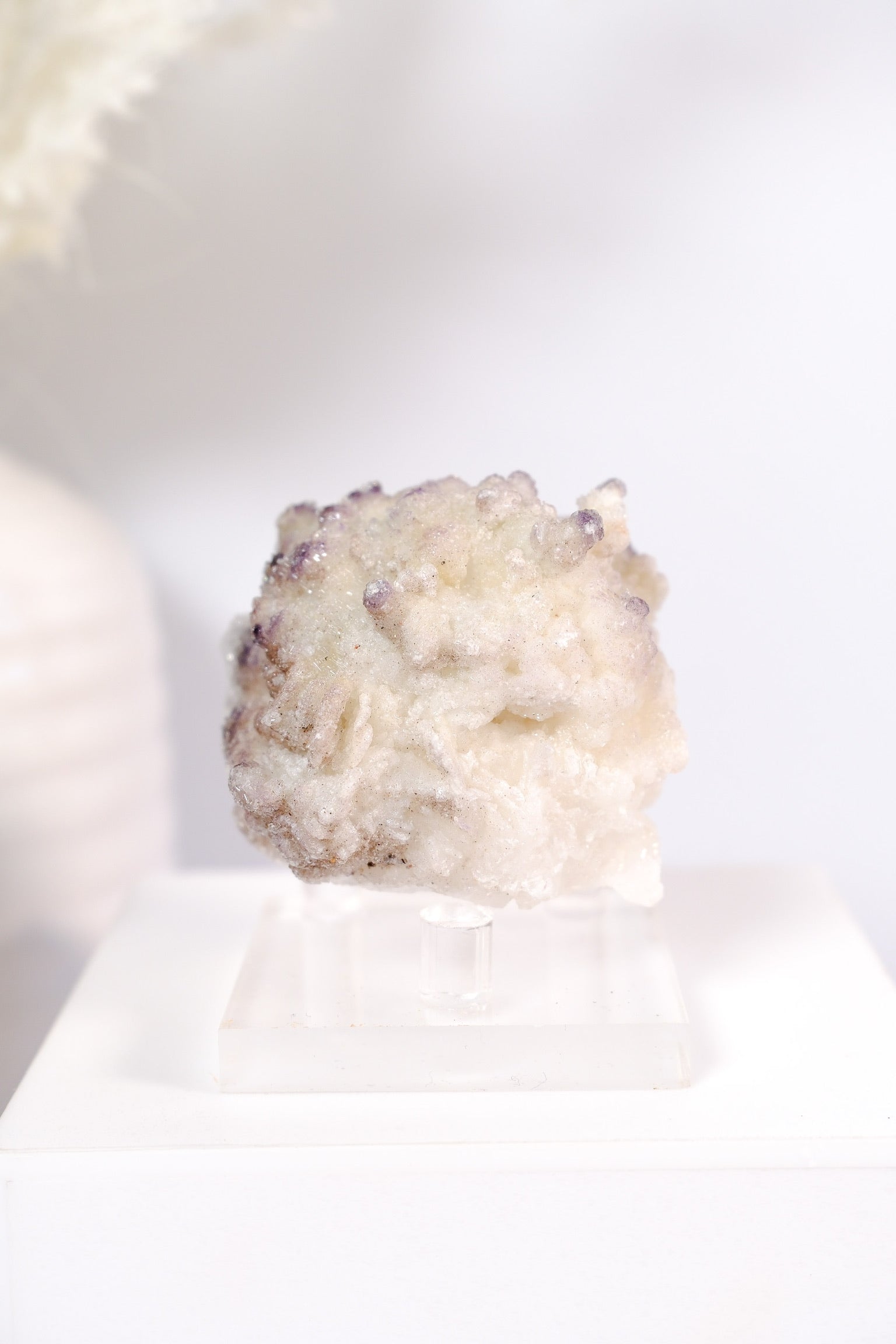 Selenite With Fluorite Cluster