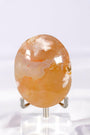 Flower Agate Palmstone Healing Crystal.