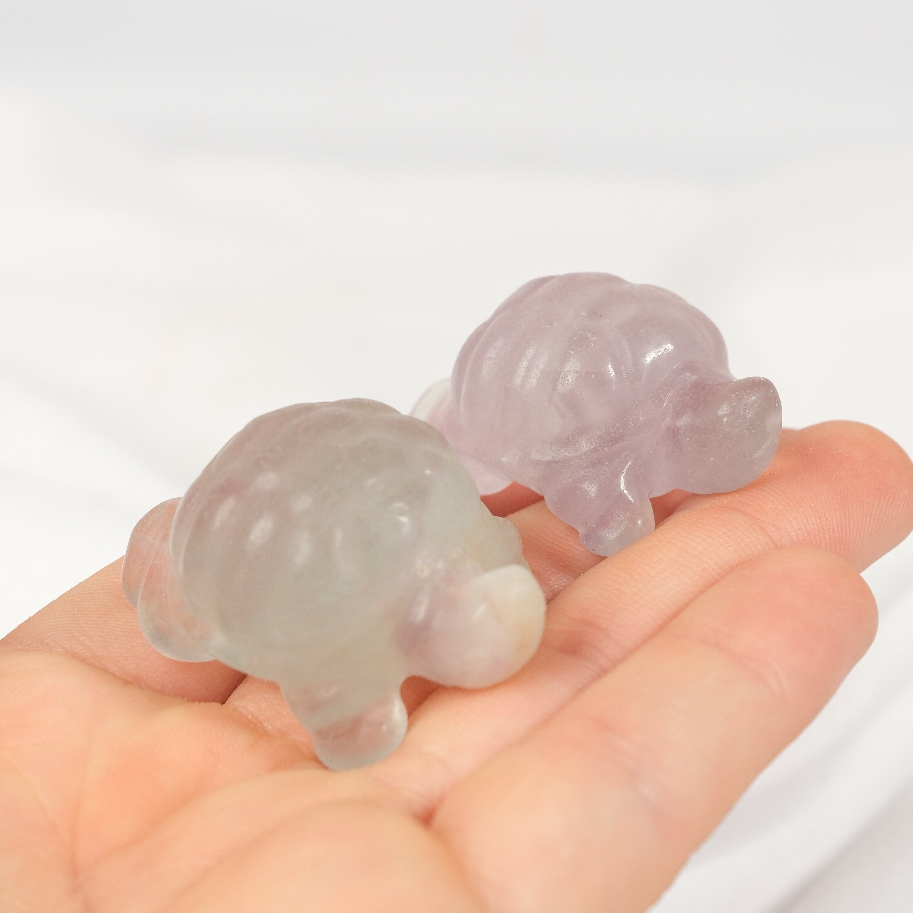 Fluorite Turtle