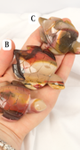 Mookaite Turtle: choose your own